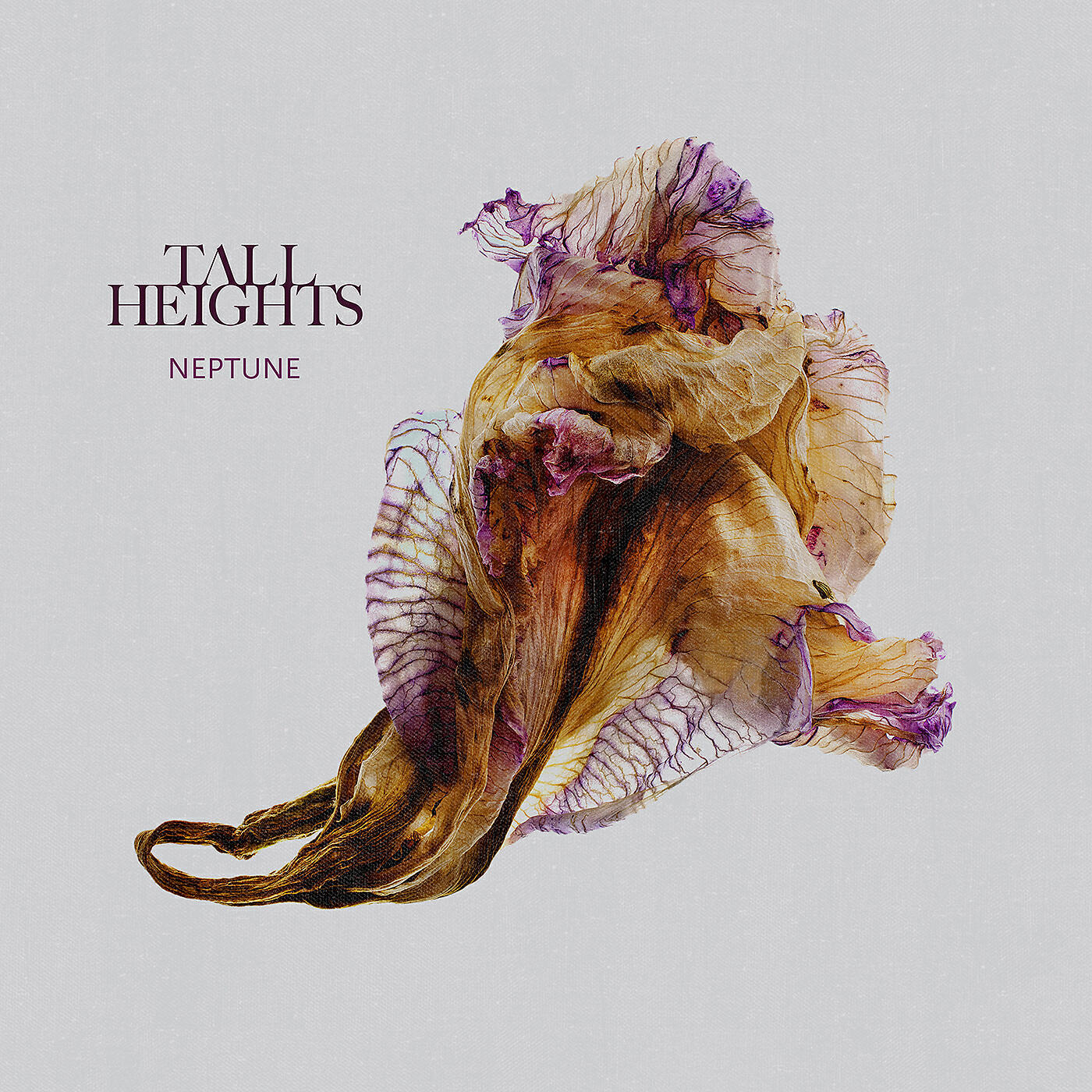 Tall Heights - Iron in the Fire