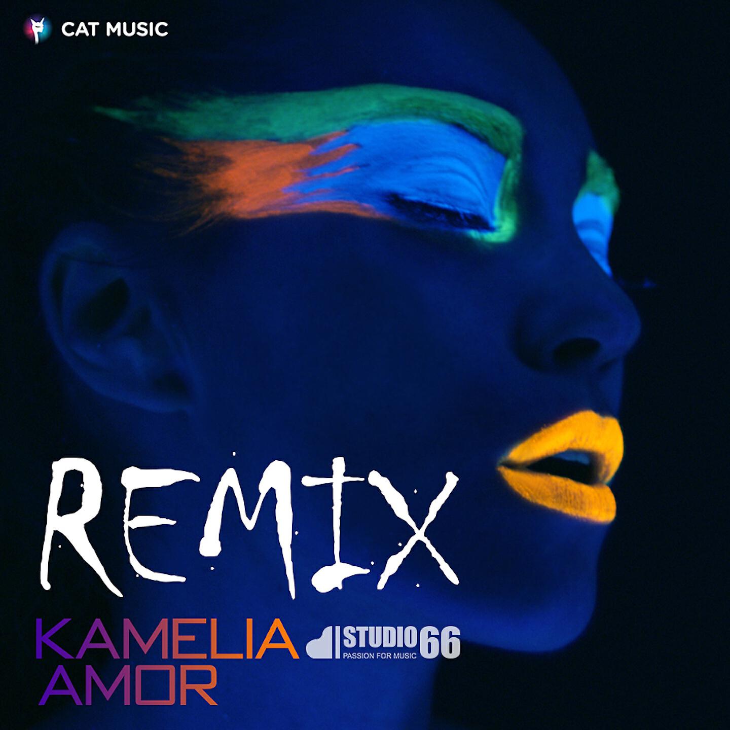 Kamelia - Amor (Studio 66 Remix)