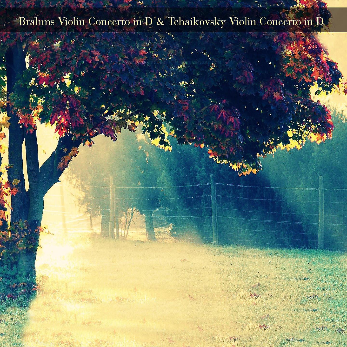 Постер альбома Brahms Violin Concerto in D & Tchaikovsky Violin Concerto in D