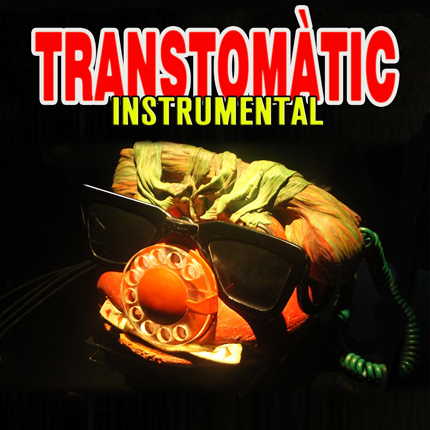 Постер альбома Transtomàtic Instrumental