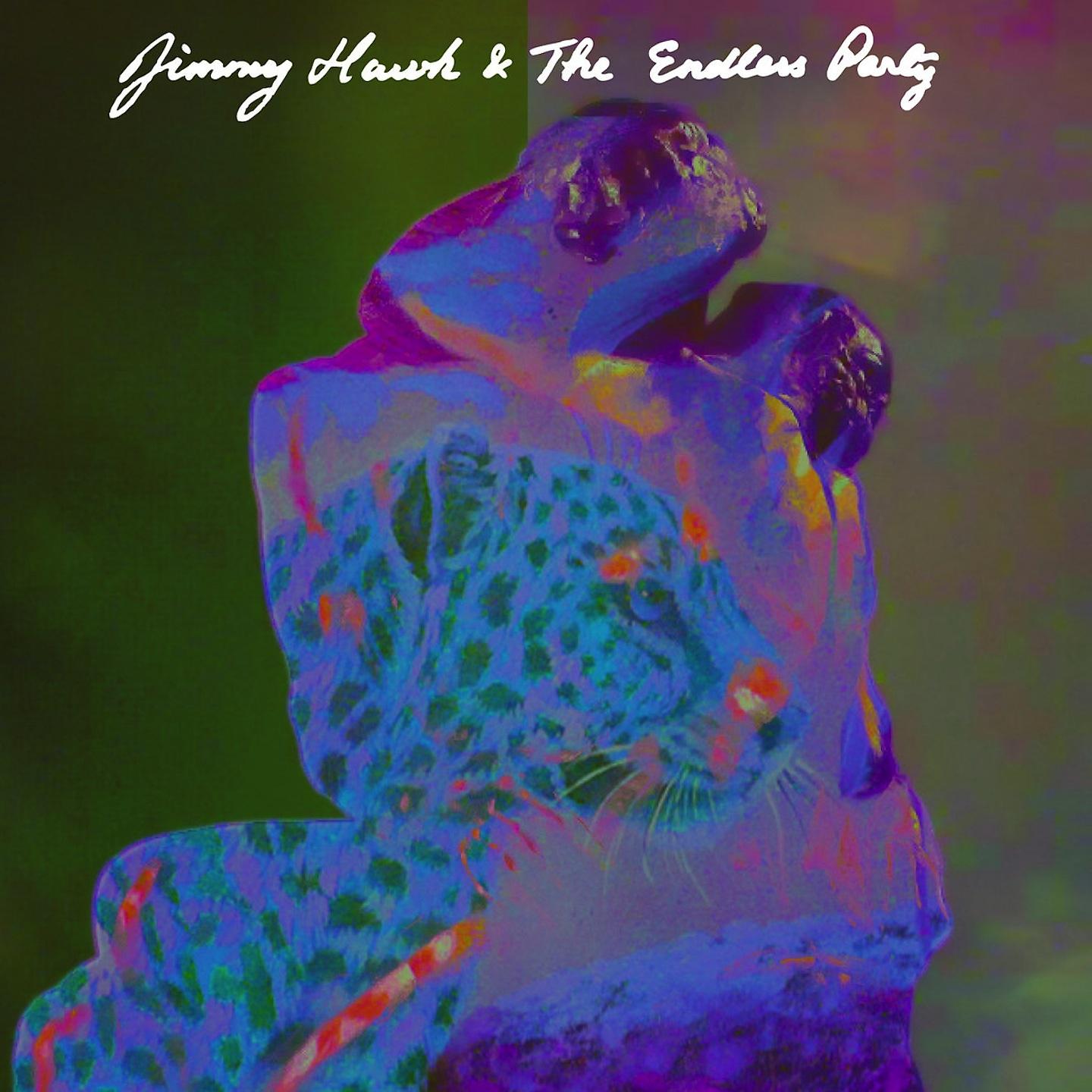 Постер альбома Jimmy Hawk & The Endless Party