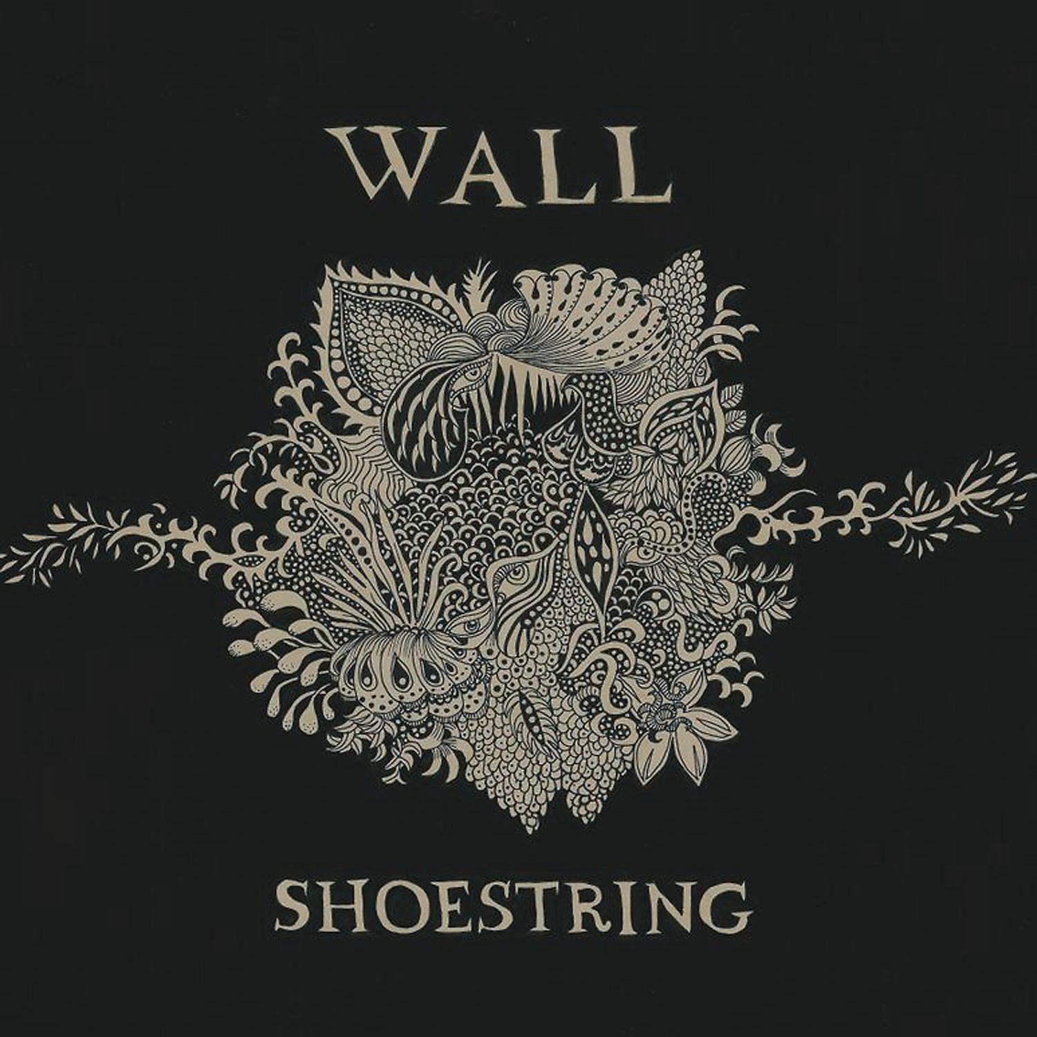 Постер альбома Shoestring