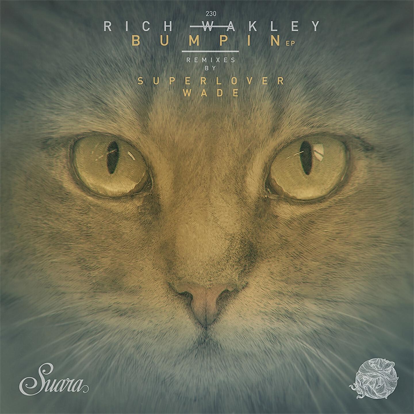 Rich Wakley - That's the Joint (Superlover Remix)