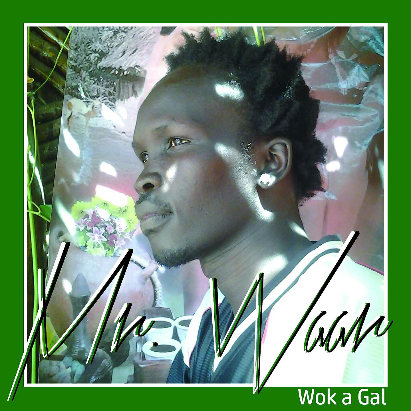 Mr. Waar - Wok A Gal