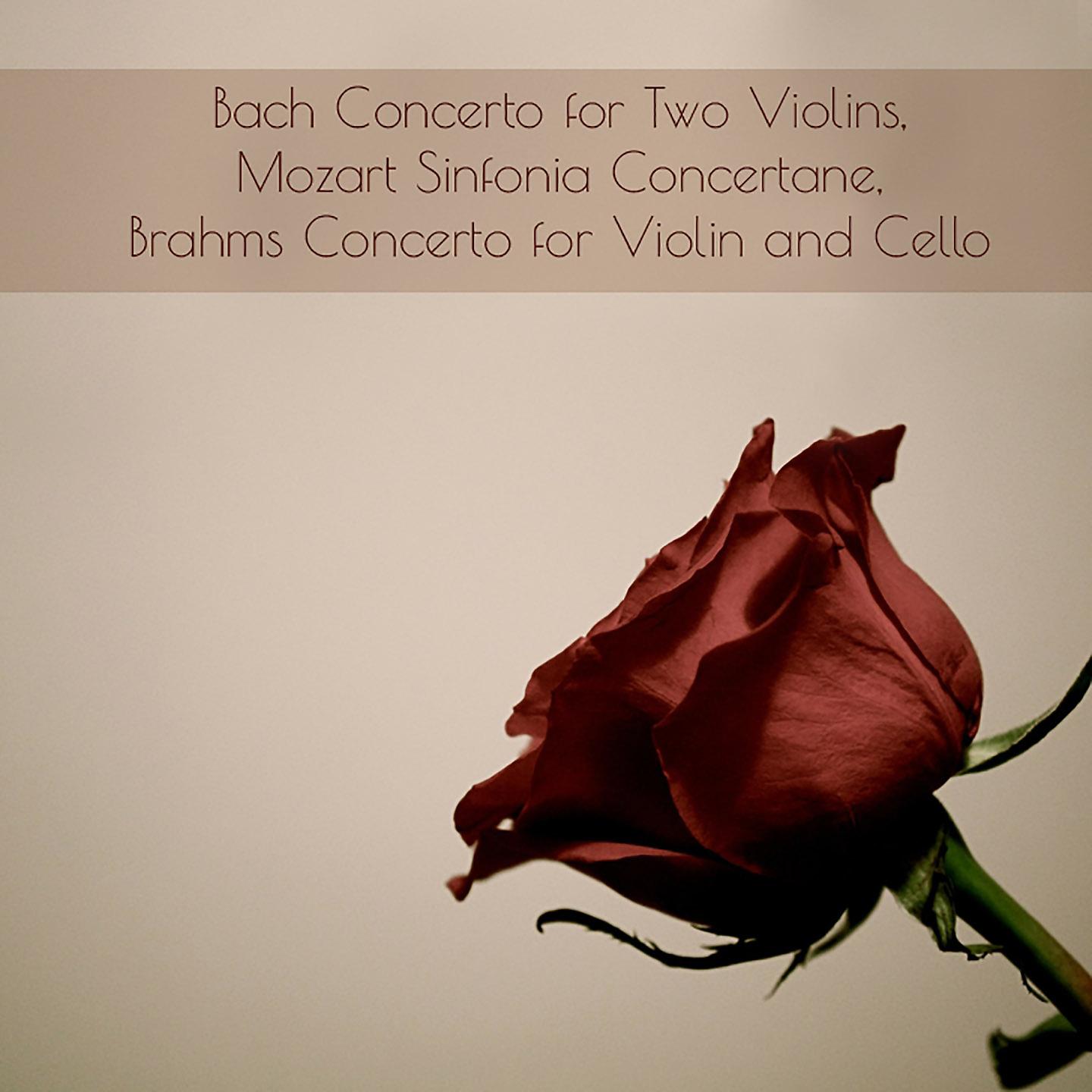 RCA Victor Symphony Orchestra - Concerto for Violin and Cello in A Minor, Op. 102: II. Andante