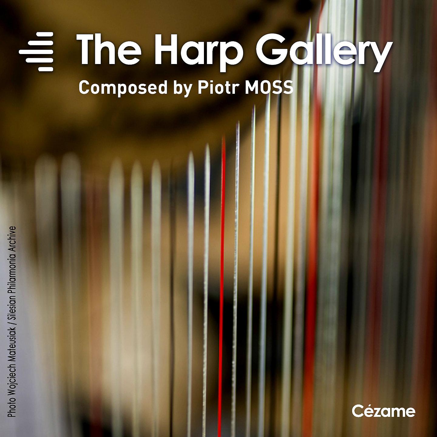 Постер альбома The Harp Gallery