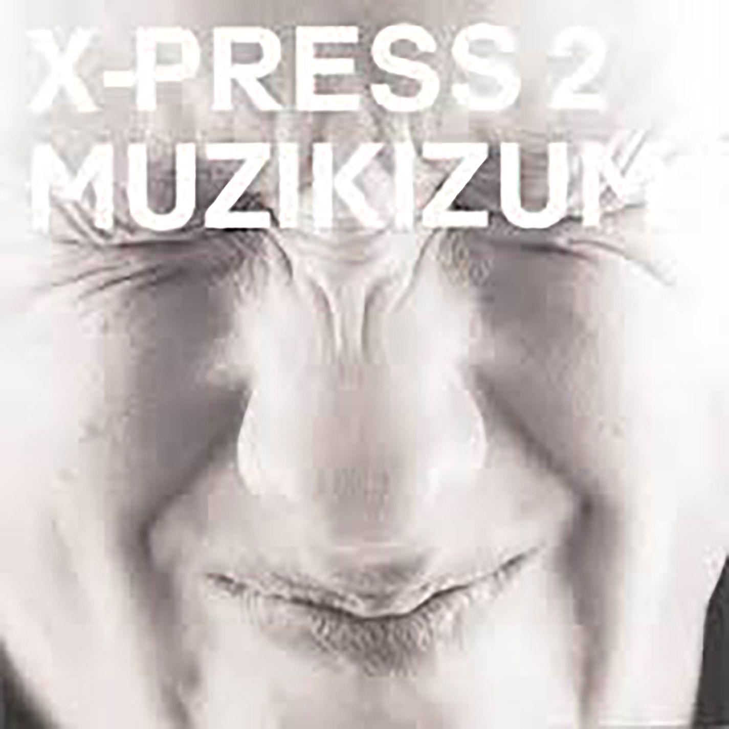 Постер альбома Muzikizum
