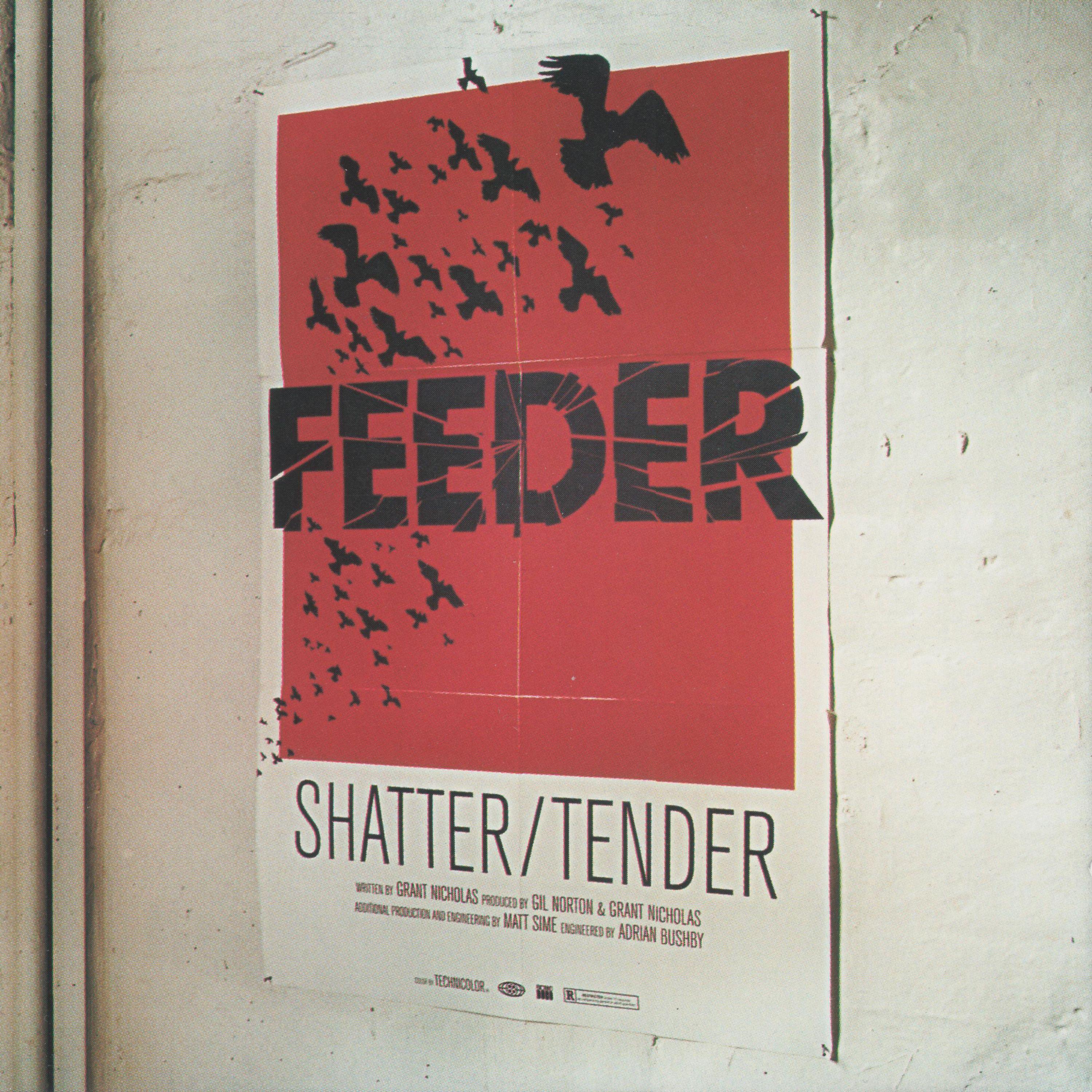 Постер альбома Shatter