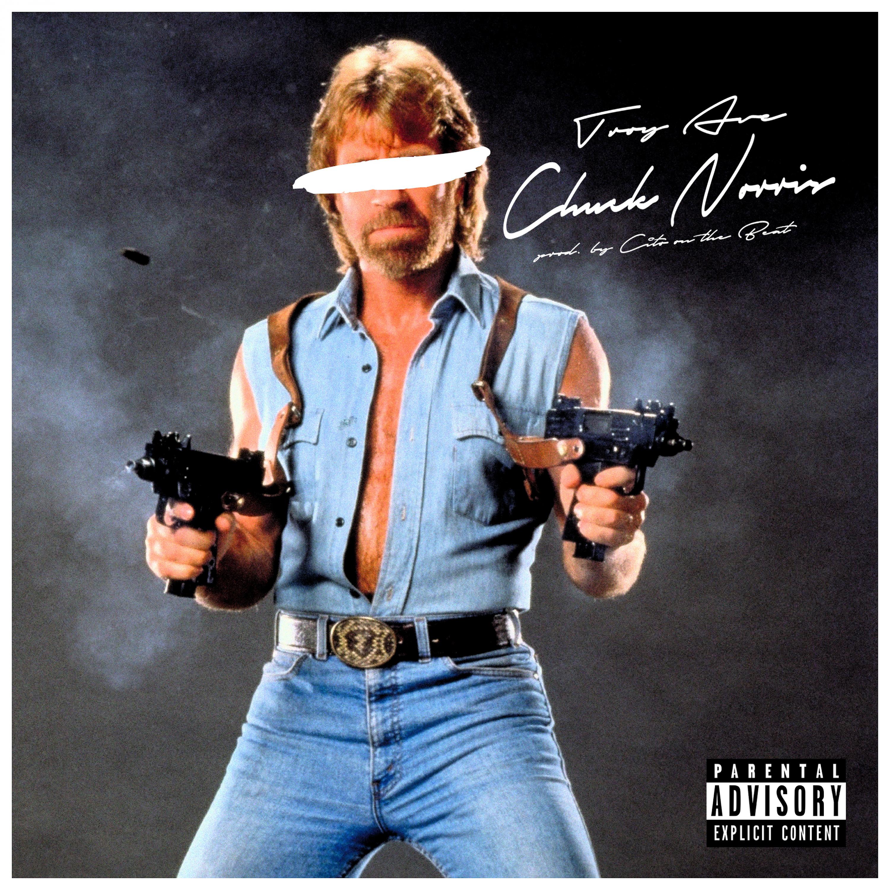Постер альбома Chuck Norris (Hoes & Gangstas) - Single