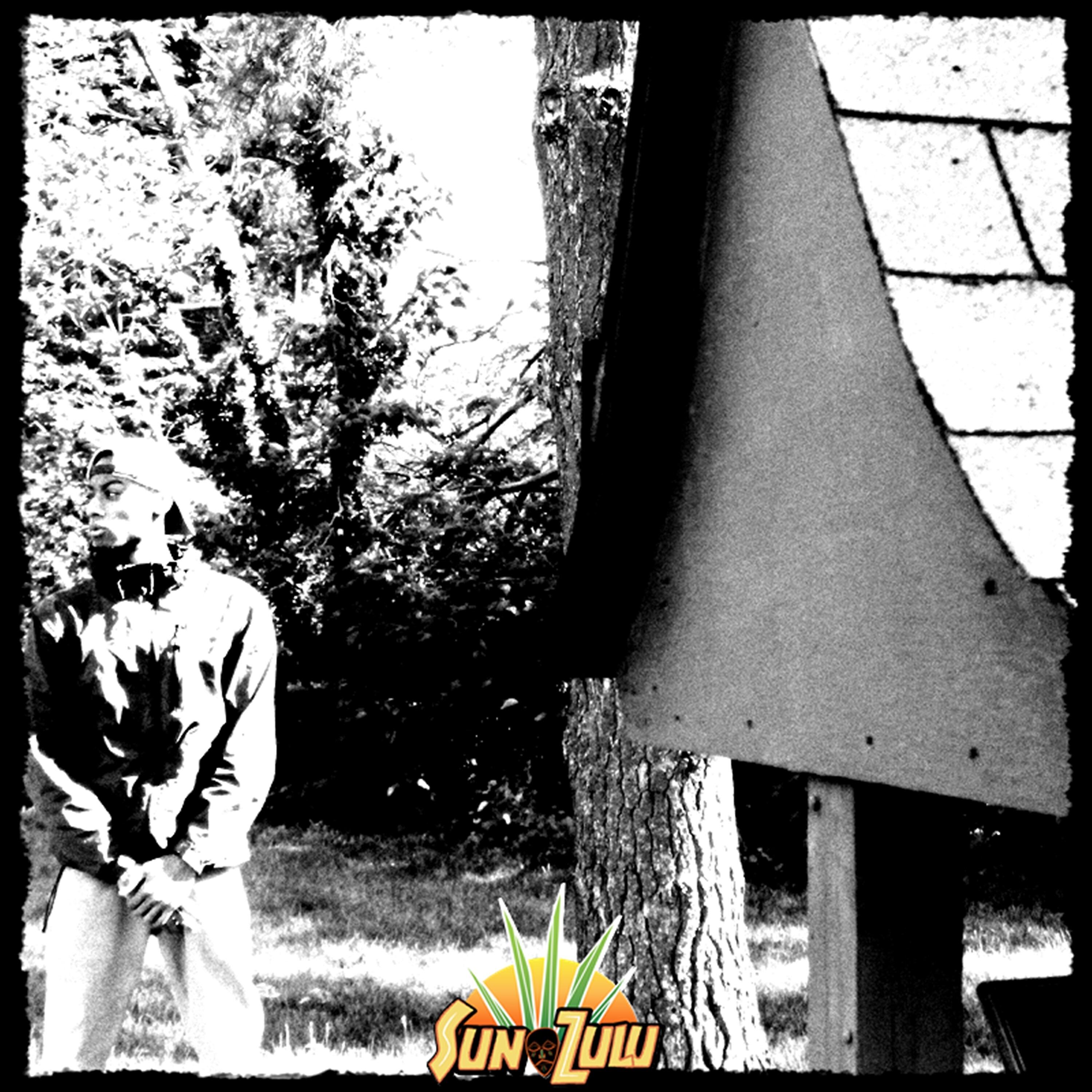 Sun Zulu - Lookin' Up Above (feat. Bari Lutalo)