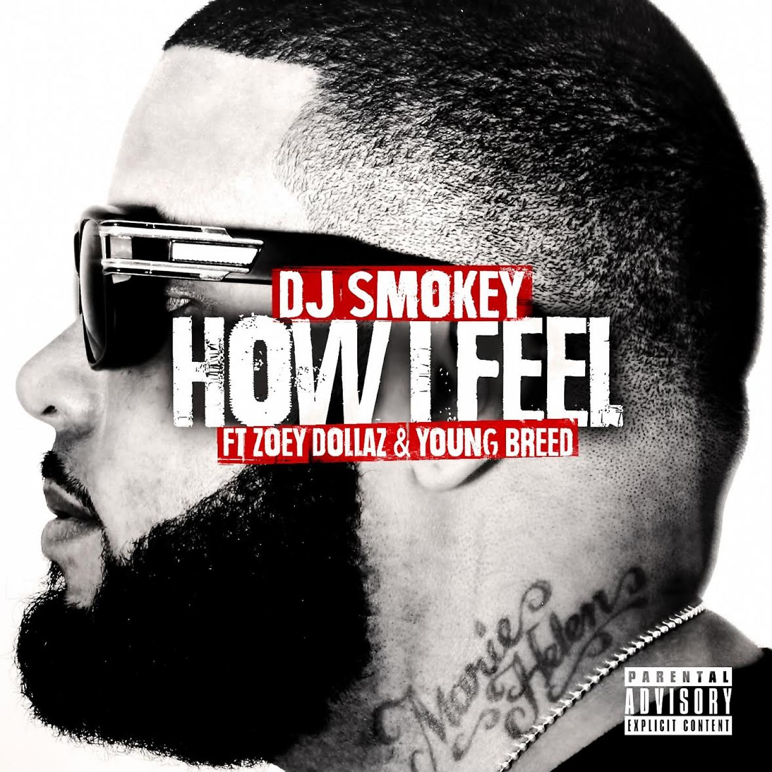 Постер альбома How I Feel (feat. Zoey Dollaz & Young Breed) - Single