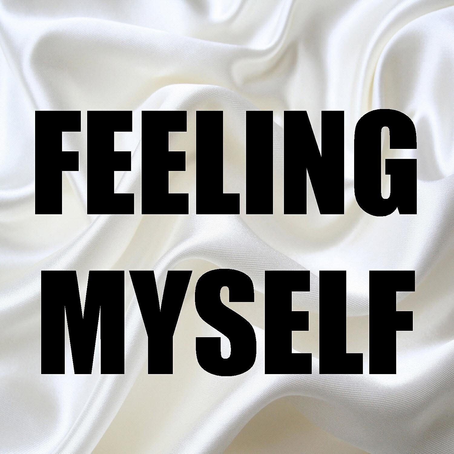BeatRunnaz - Feeling Myself (In the Style of Nicki Minaj & Beyonce) [Instrumental Version]