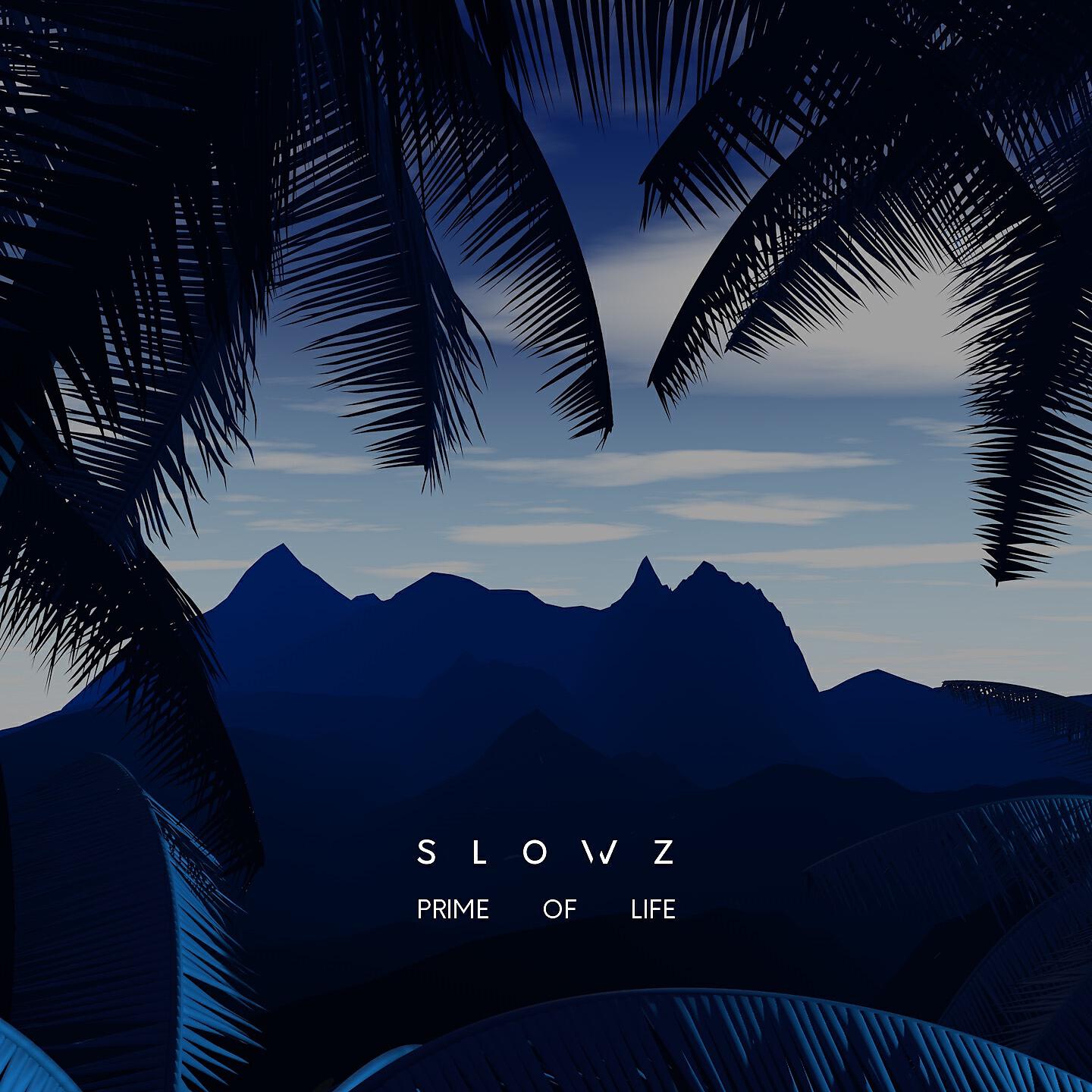Slowz - In This Moment Forever