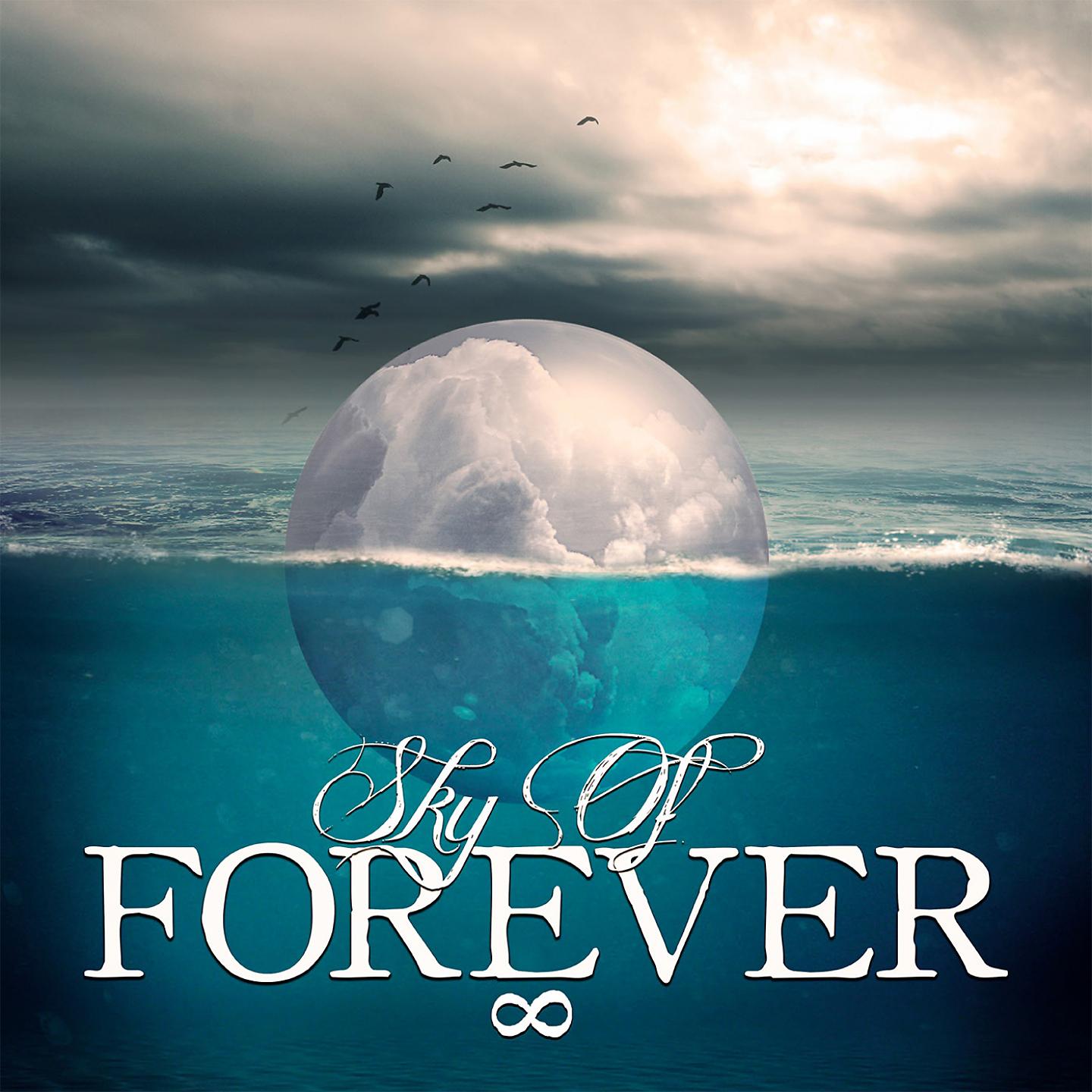 Постер альбома Sky of Forever