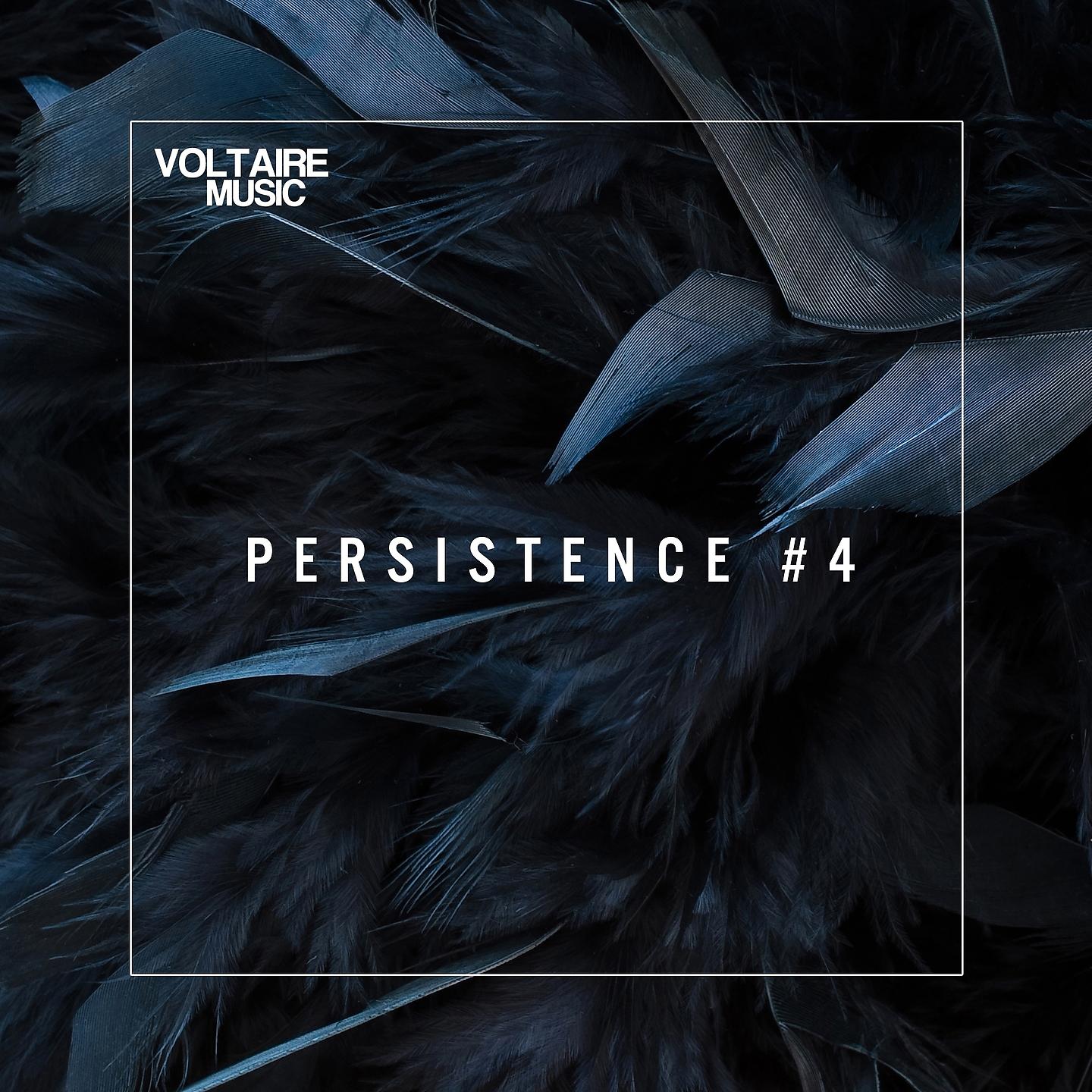 Постер альбома Voltaire Music pres. Persistence #4