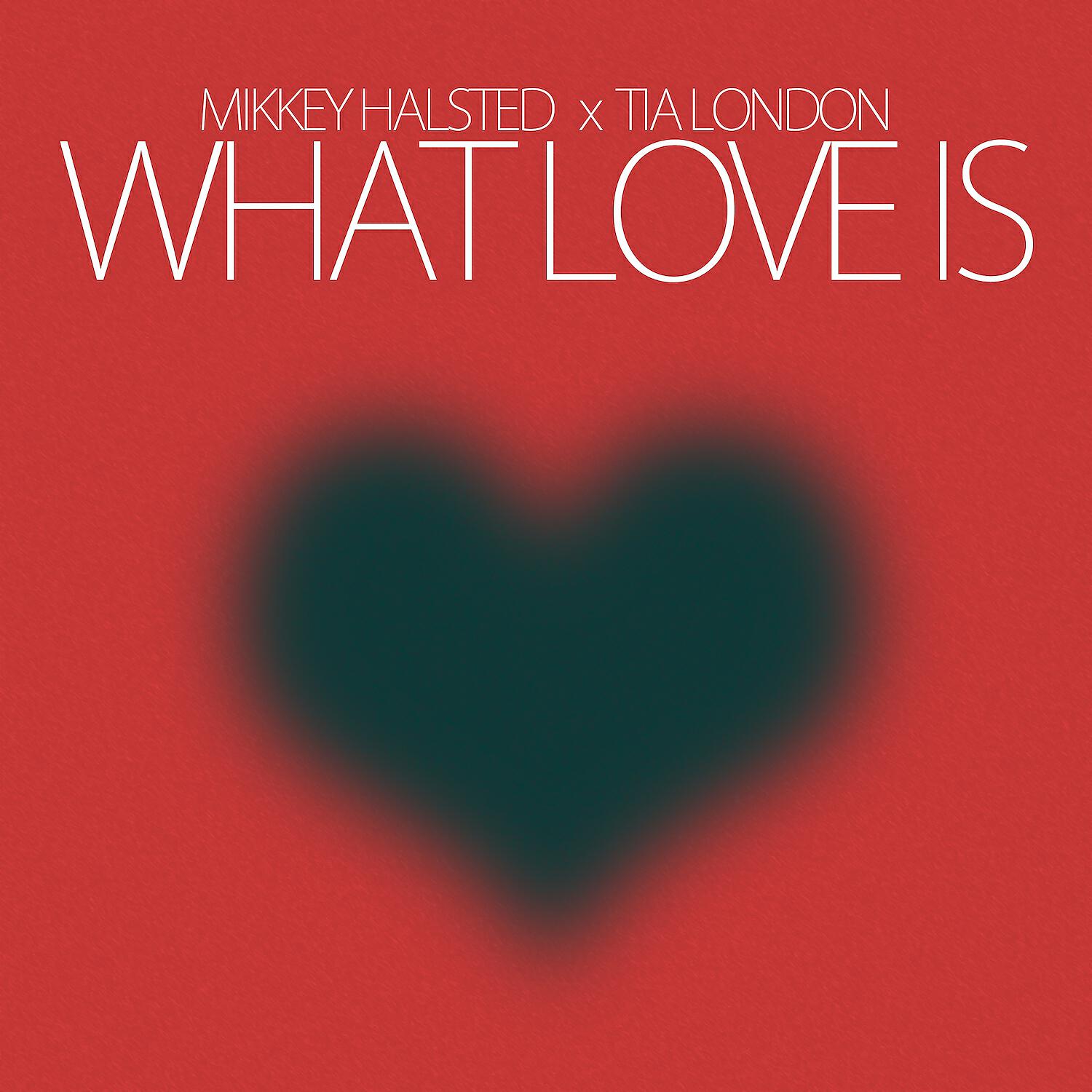 Mikkey Halsted - What Love Is (Street)
