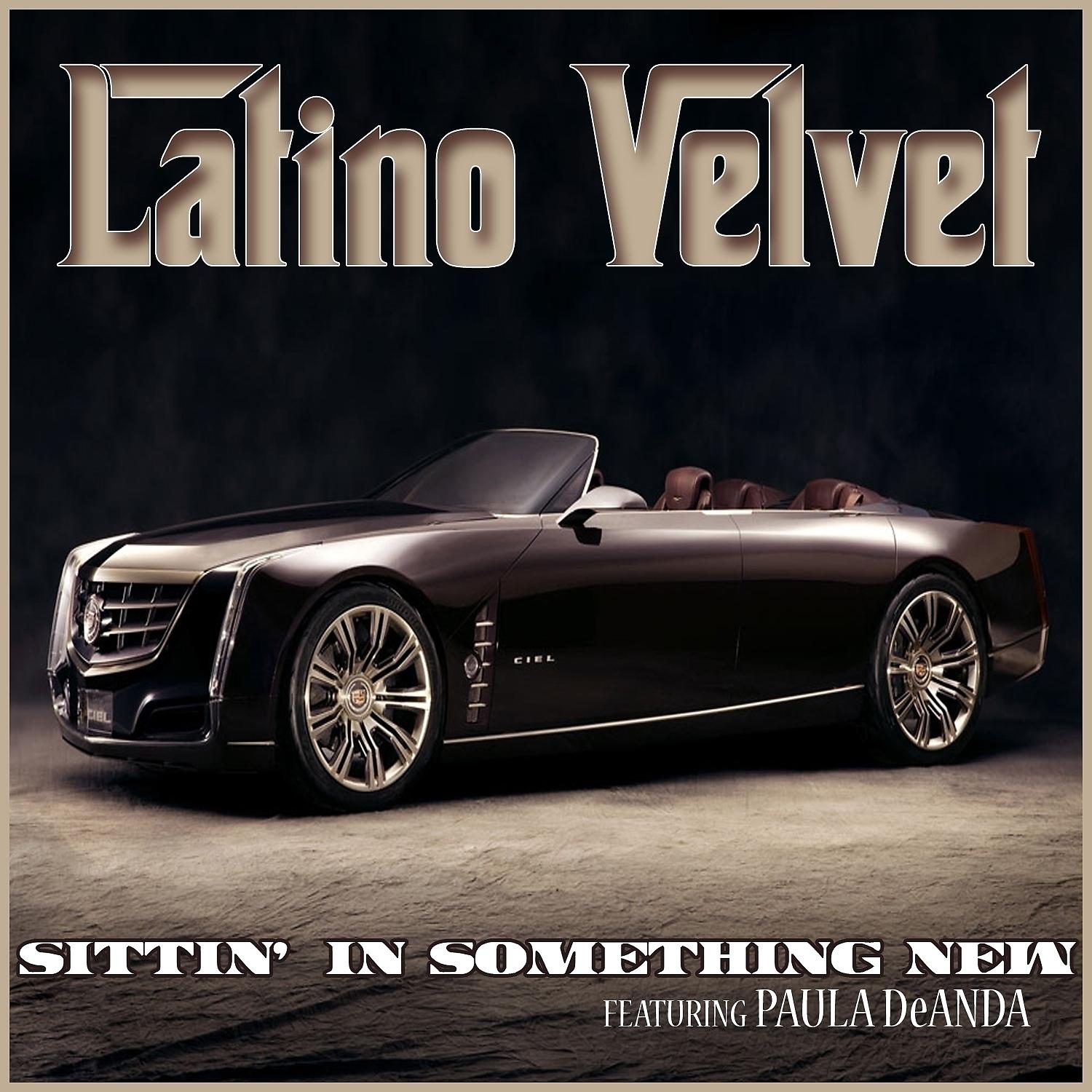 Постер альбома Sittin' In Something New (feat. Paula DeAnda) - Single