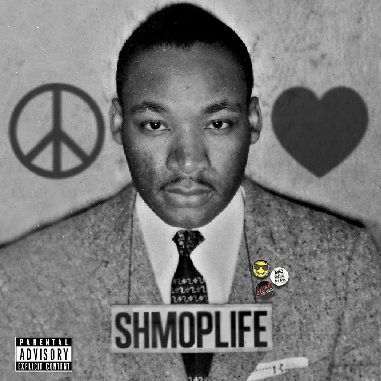 Постер альбома Peace, Love, Shmoplife