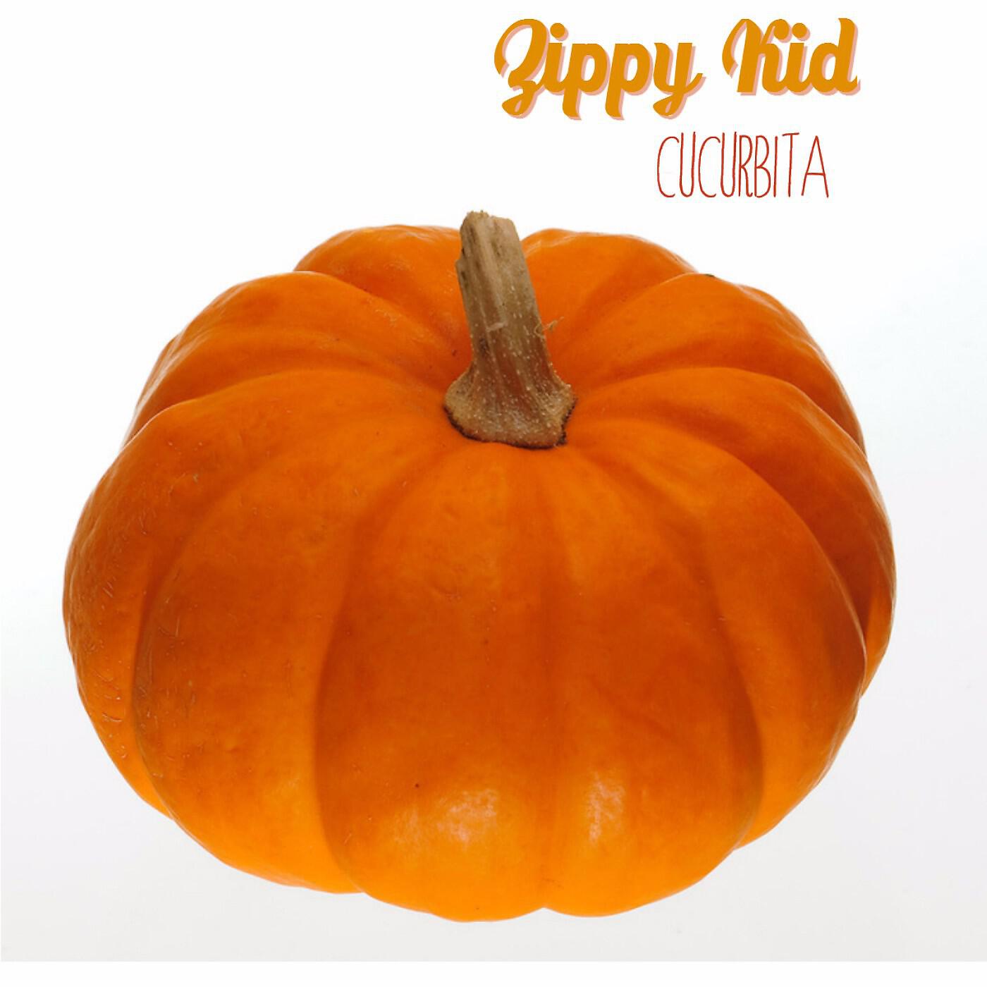 Zippy Kid - Cucurbita