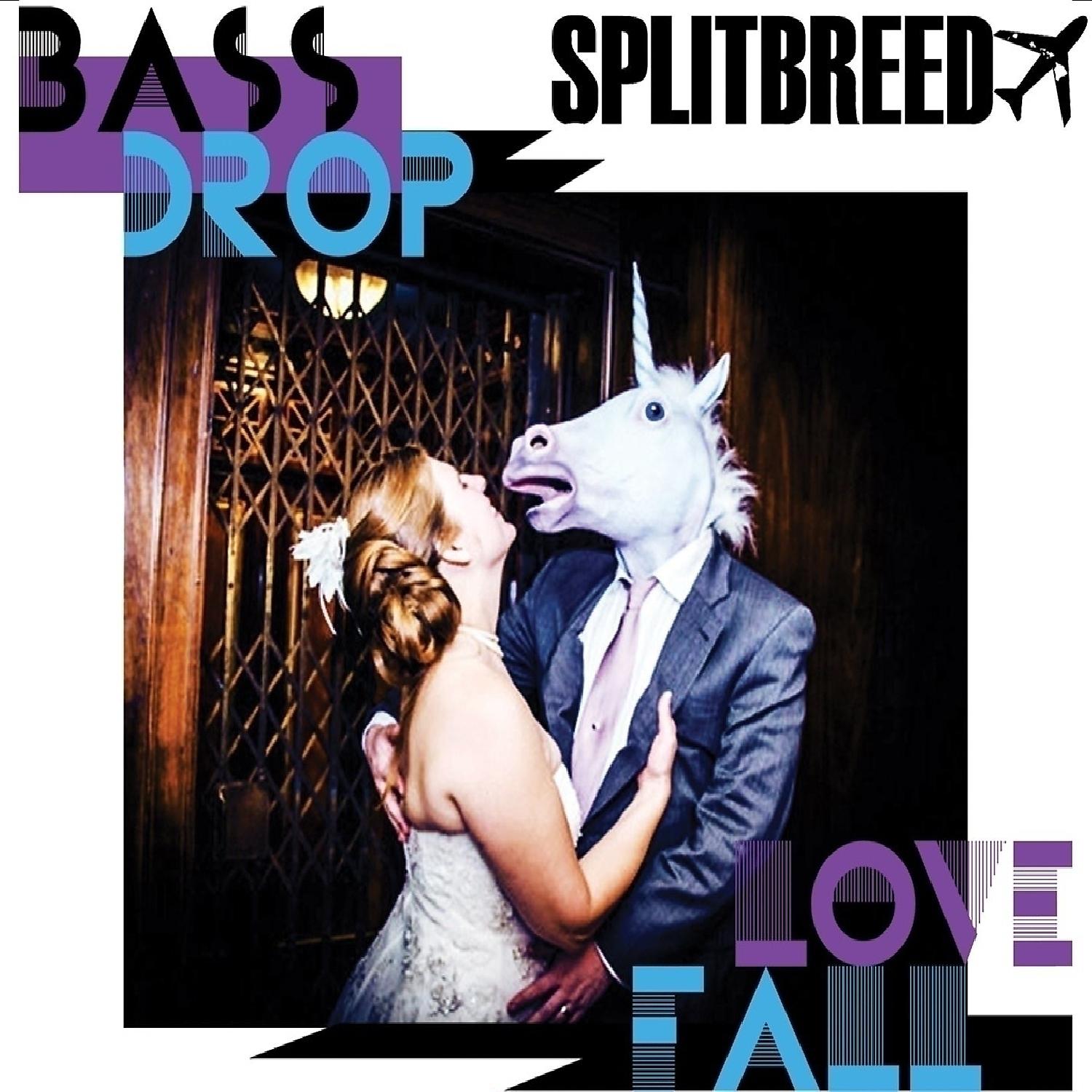 Постер альбома BassDrop LoveFall - EP