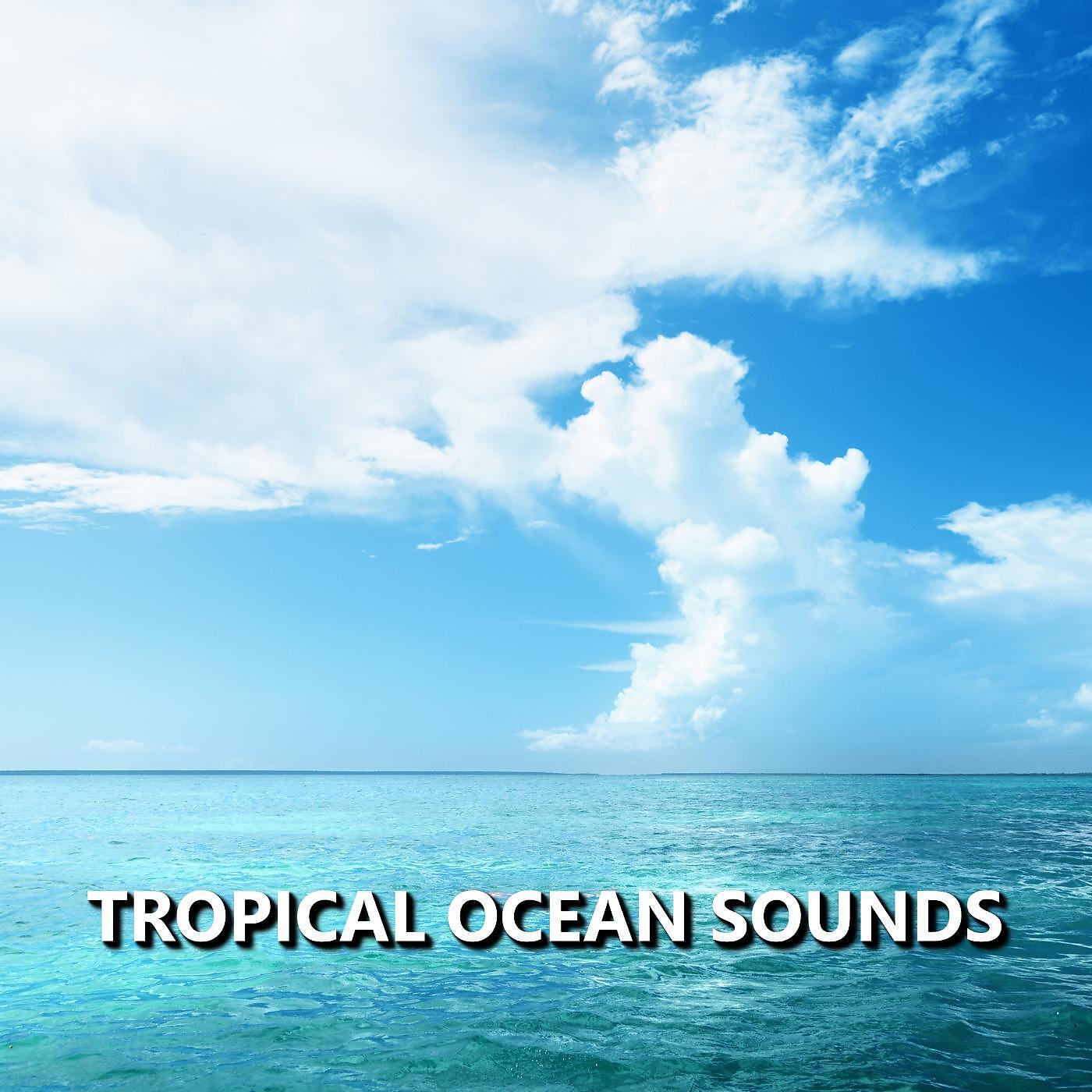 Ocean Sounds - Harmonious Bayside Ocean Waves