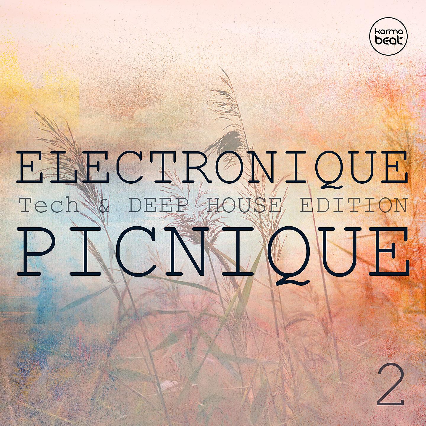 Постер альбома Electronique Picnique, Vol. 2