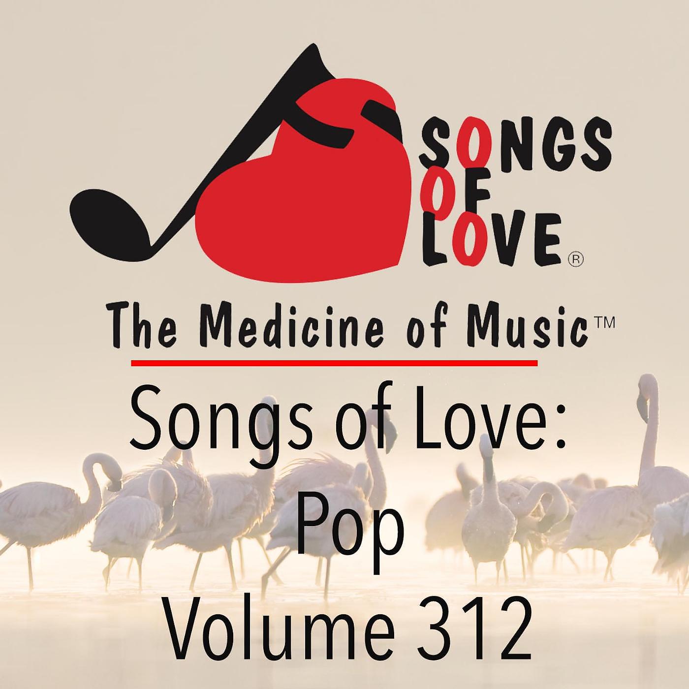 Постер альбома Songs of Love: Pop, Vol. 312