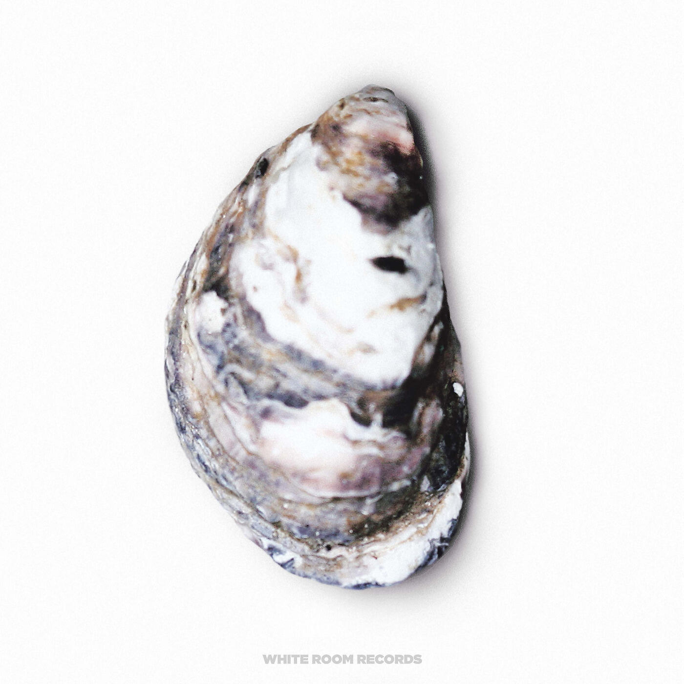 Pearl - A Sign (feat. JMSN & Elizabeth Jeanette)