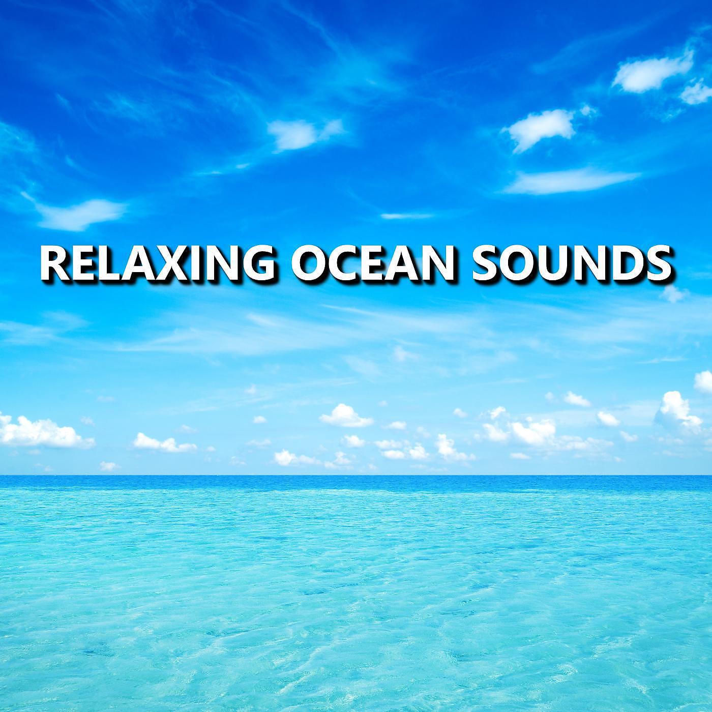 Ocean Sounds - Distinct Miami Beach Waves
