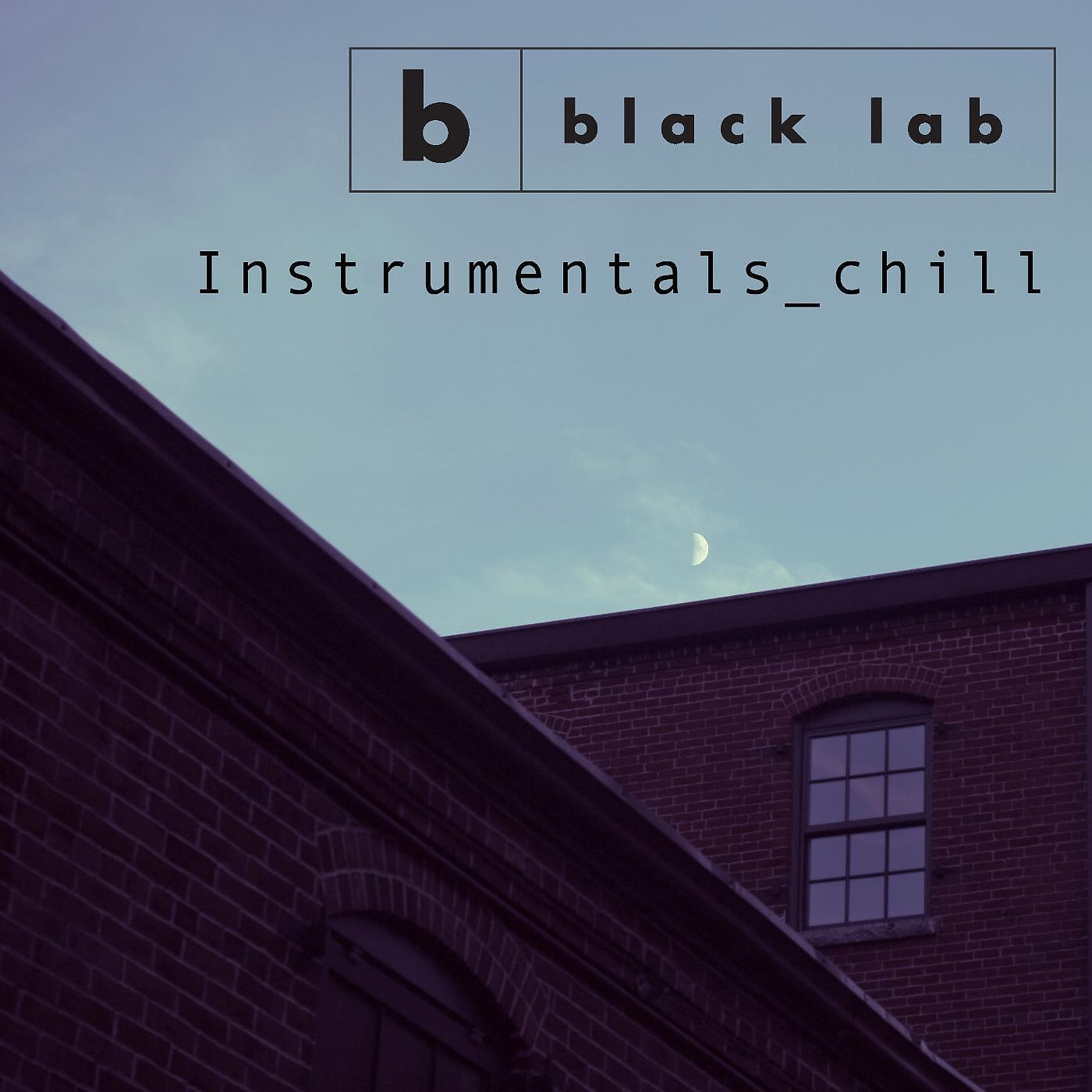 Black Lab - Dream in Color (Instrumental)