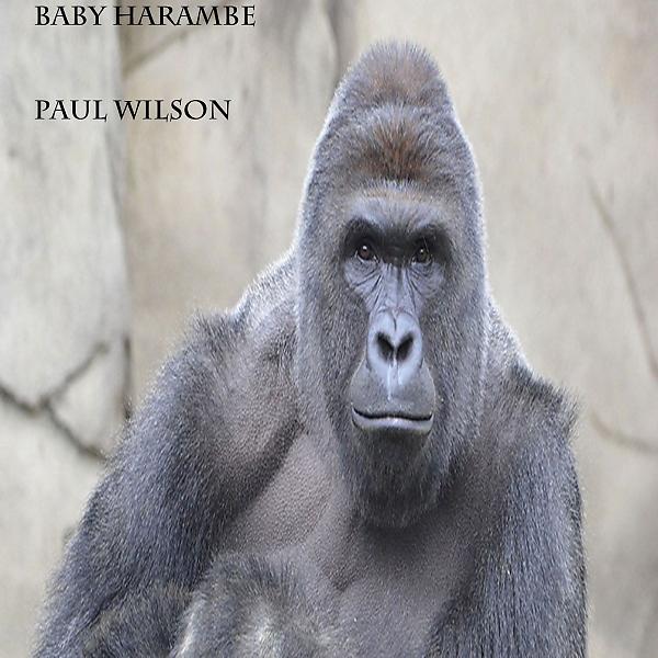Постер альбома Baby Harambe