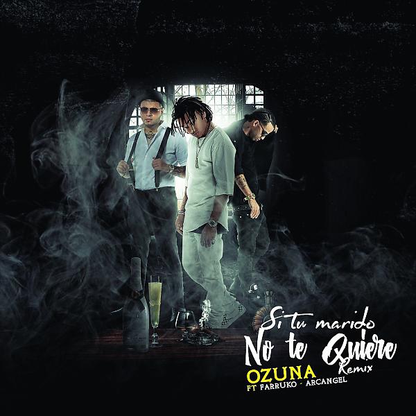 Постер альбома Si No Te Quiere Remix (feat. Arcangel & Farruko)