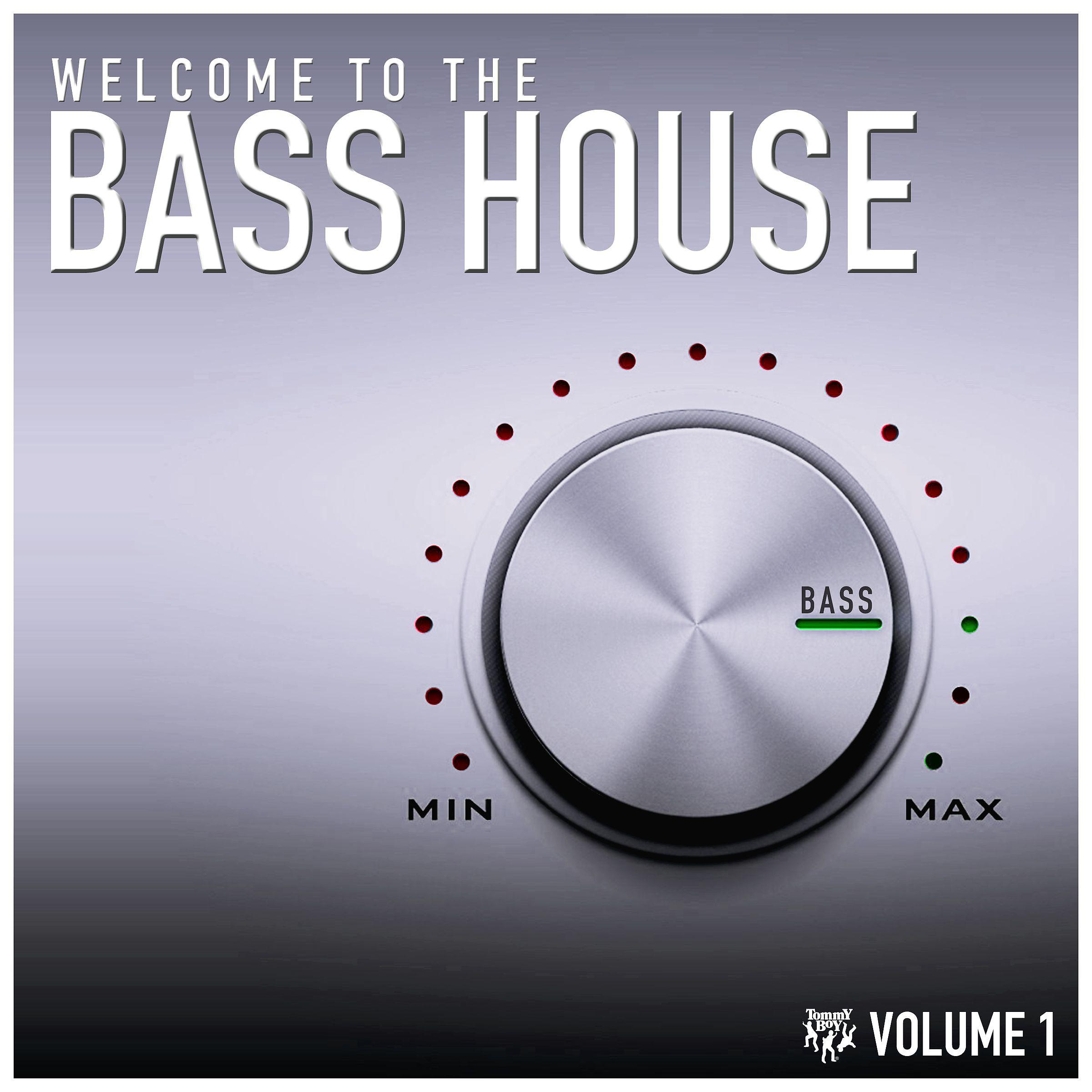 Постер альбома Welcome to the Bass House