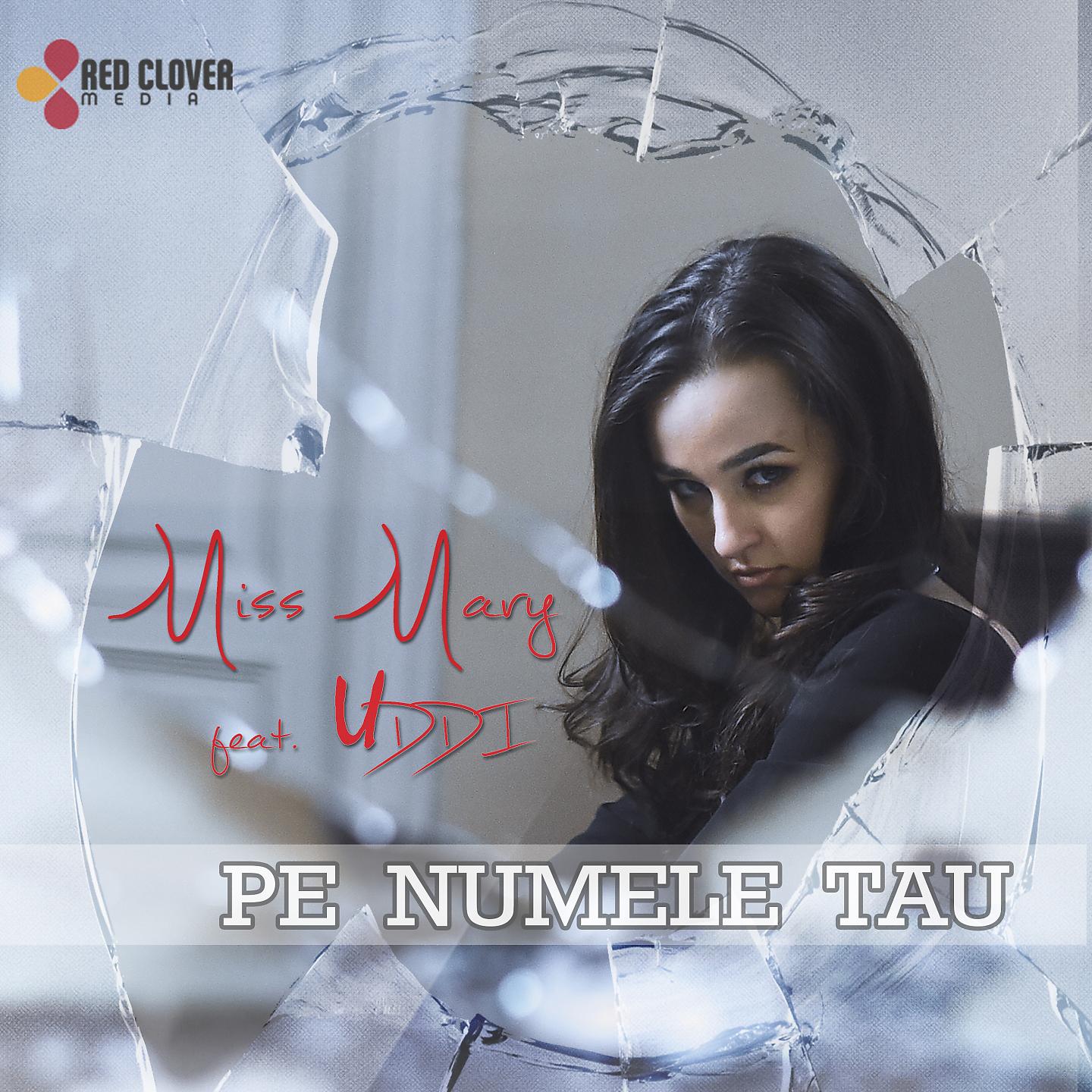 Постер альбома Pe Numele Tau