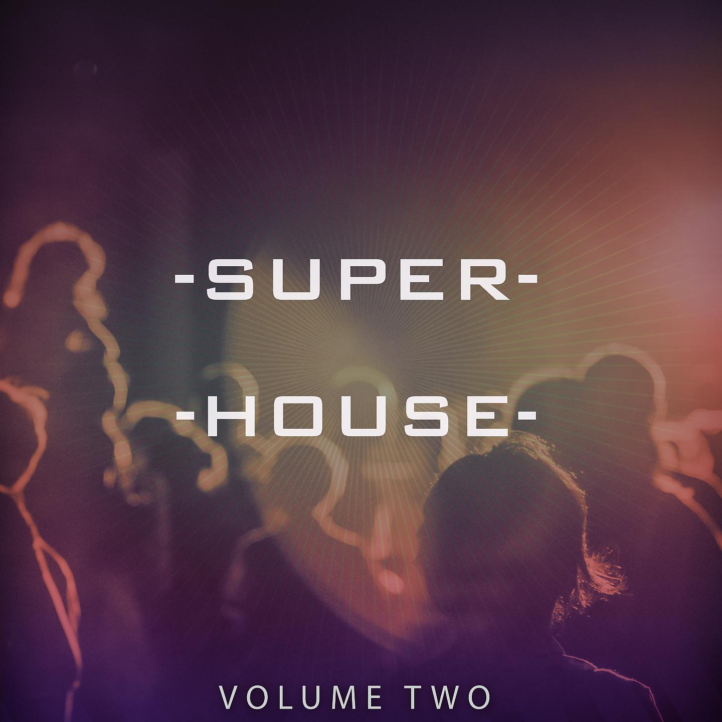 Постер альбома Superhouse, Vol. 2
