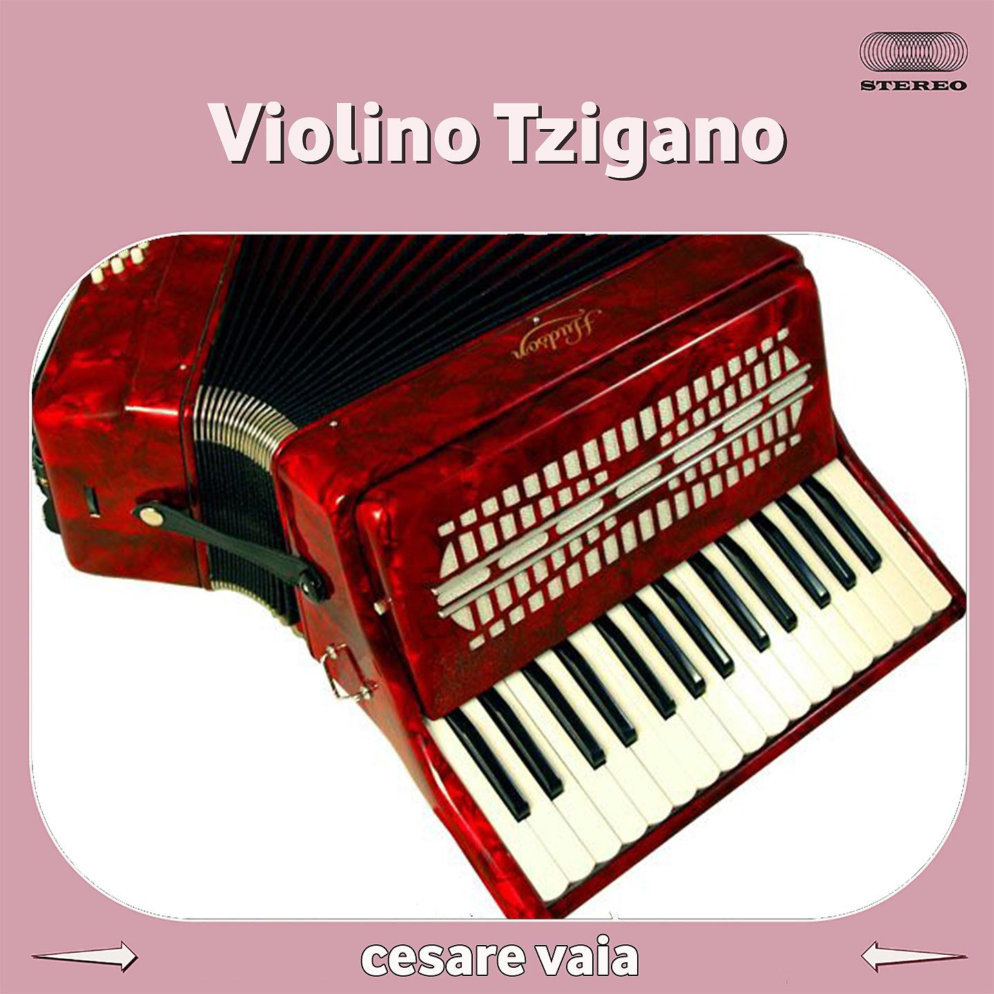Постер альбома Violino tzigano