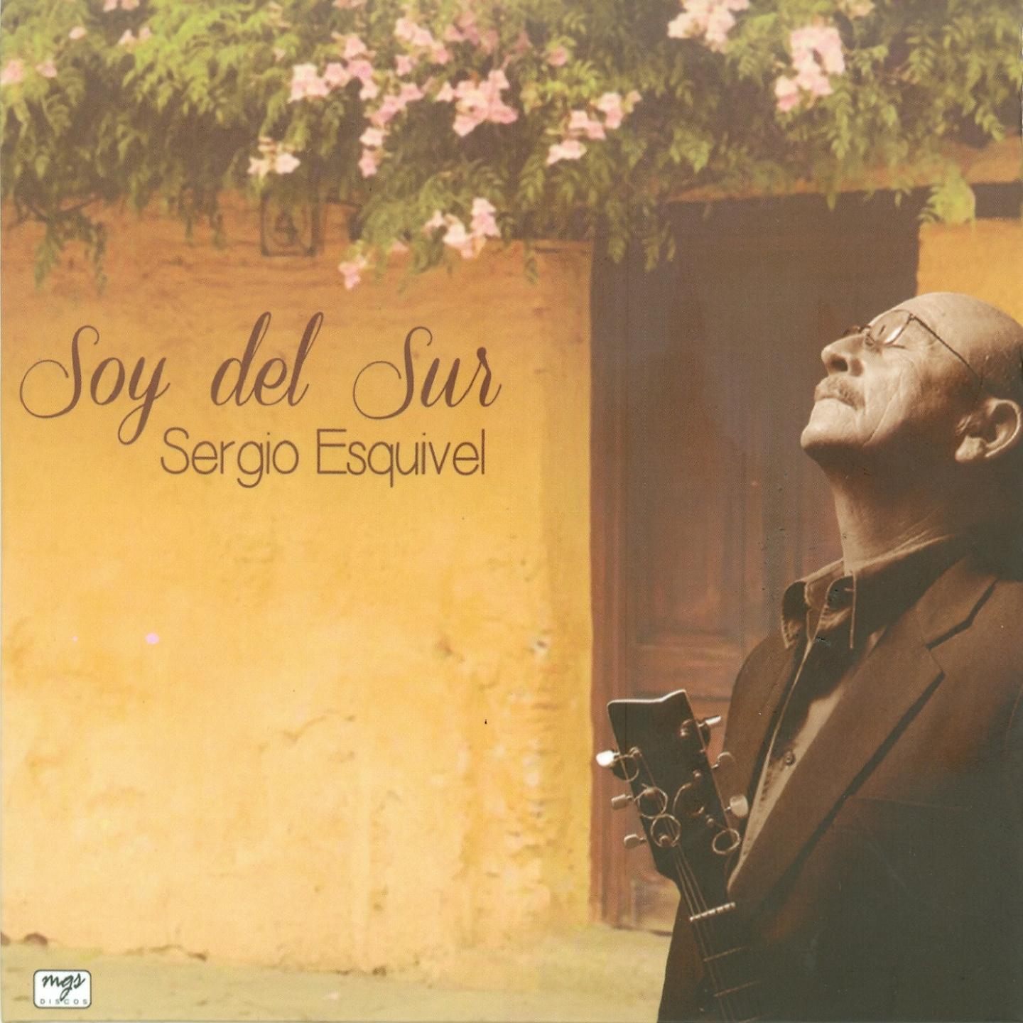 Постер альбома Soy del Sur