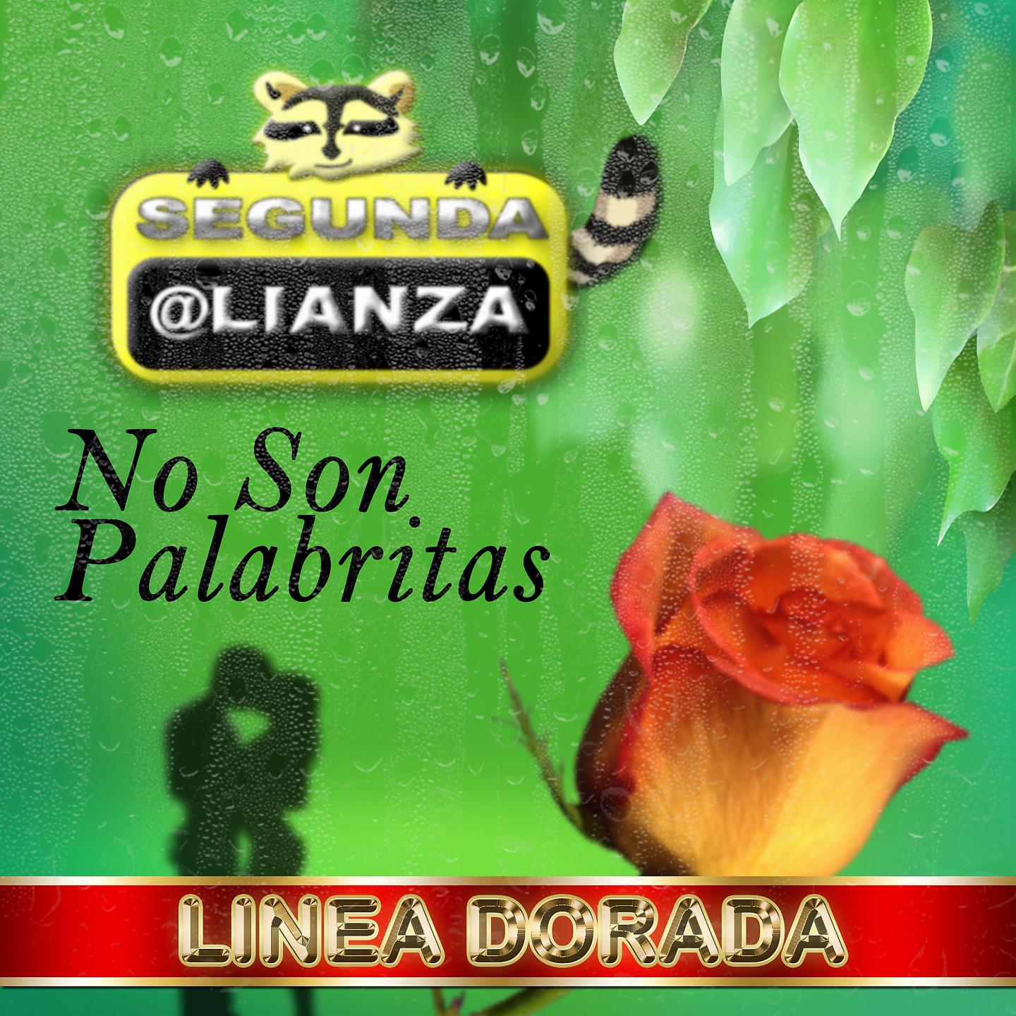 Постер альбома No Son Palabritas