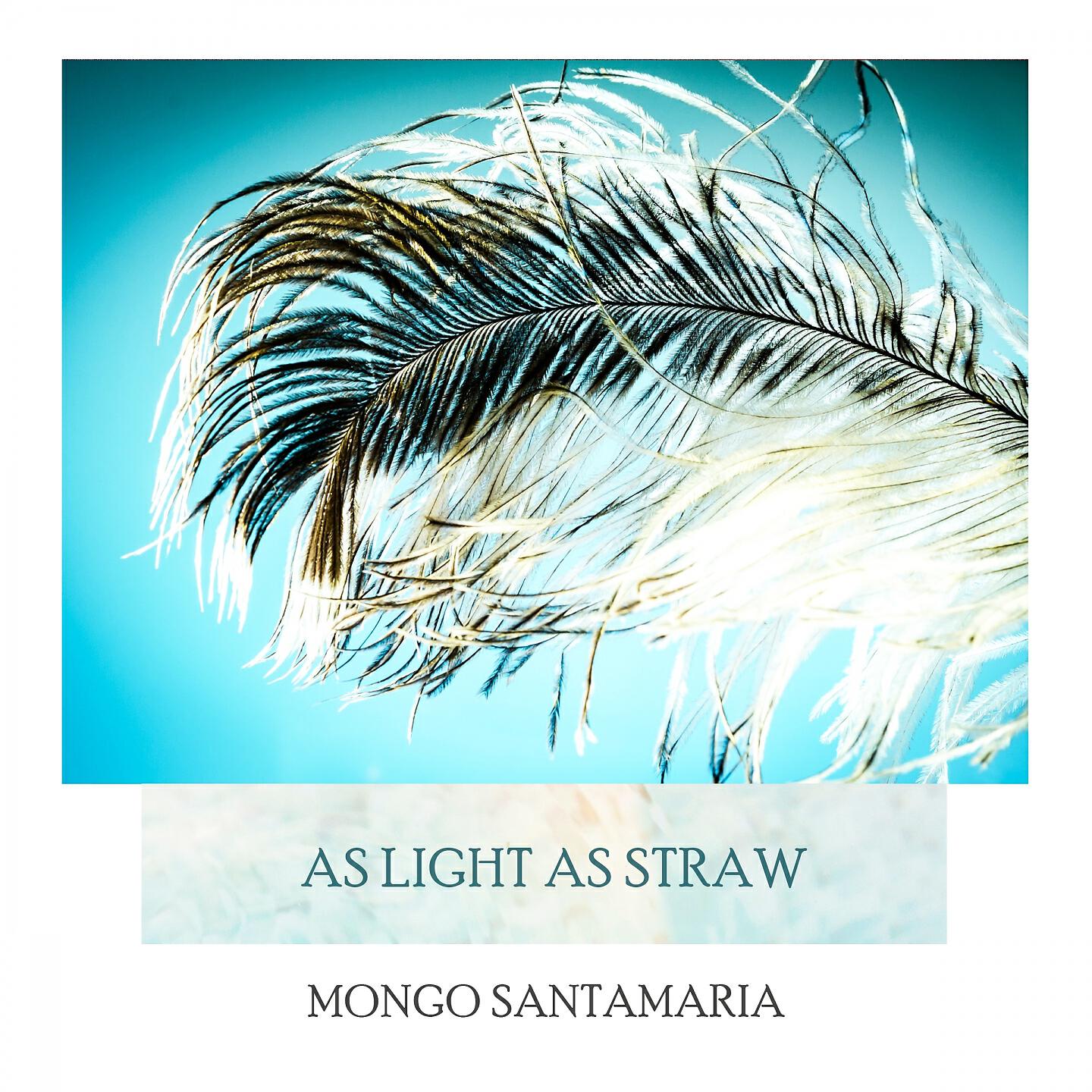 Mongo Santamaria - Pachanga Twist