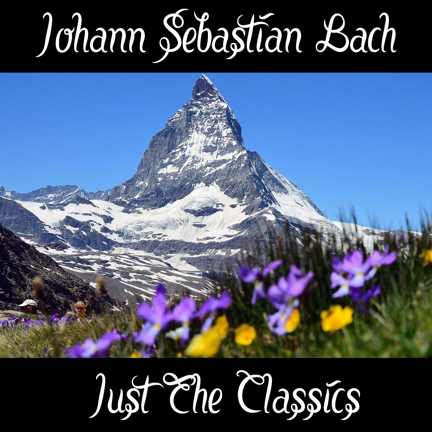 Johann Sebastian Bach - Brandenburg Concerto No- 6 in B-Flat Major, BWV 1051 II- Andante