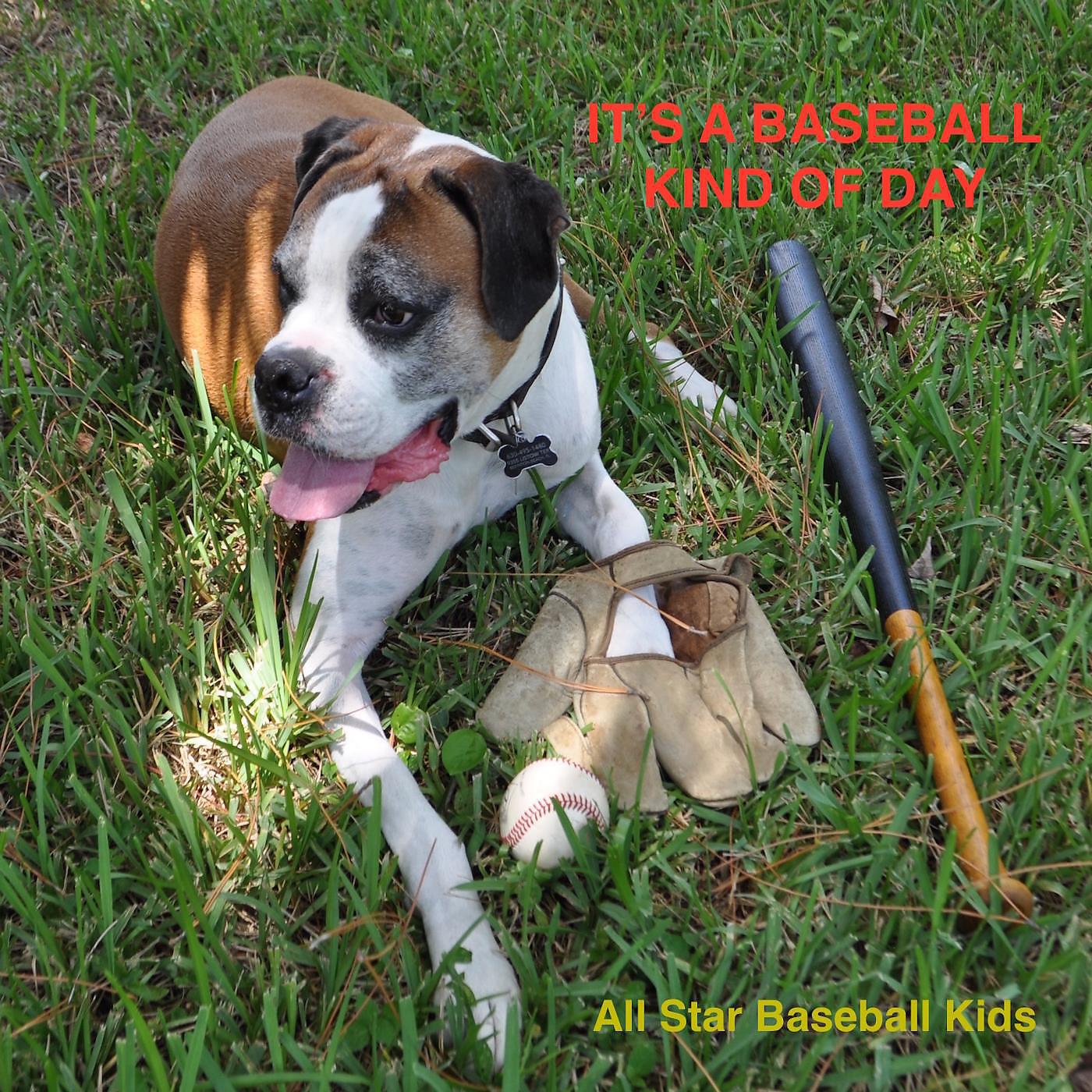 The All Star Baseball Kids & Patrik Athony - It's a Baseball Kind of Day (Nationals Version)