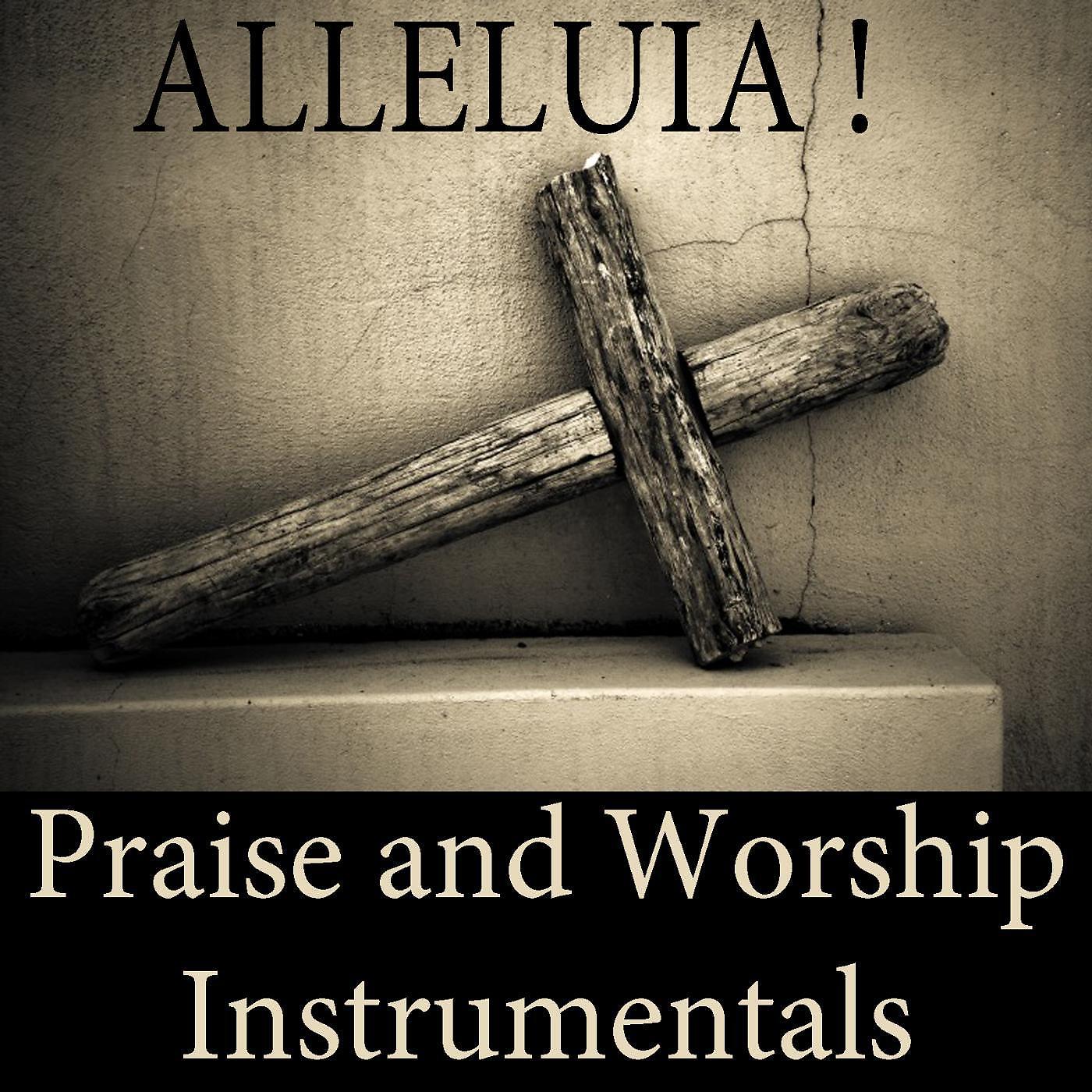 Постер альбома Alleluia! Praise and Worship Instrumentals