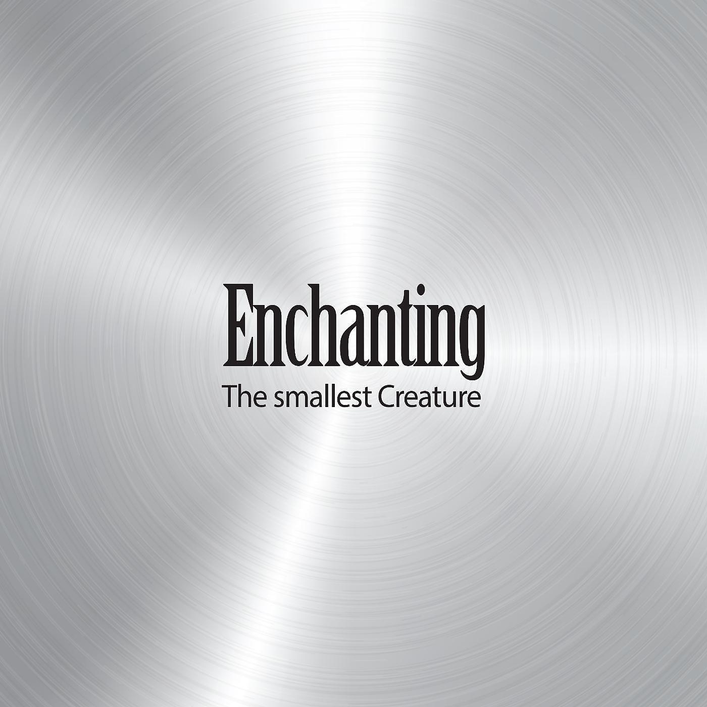 Постер альбома Enchanting