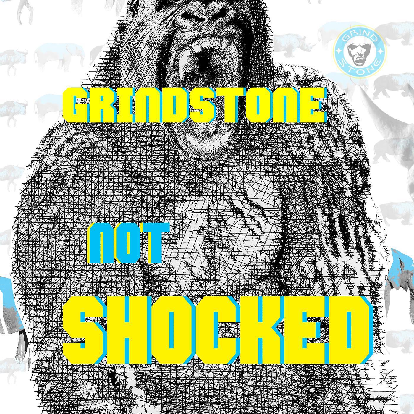 GRINDSTONE - Not Shocked
