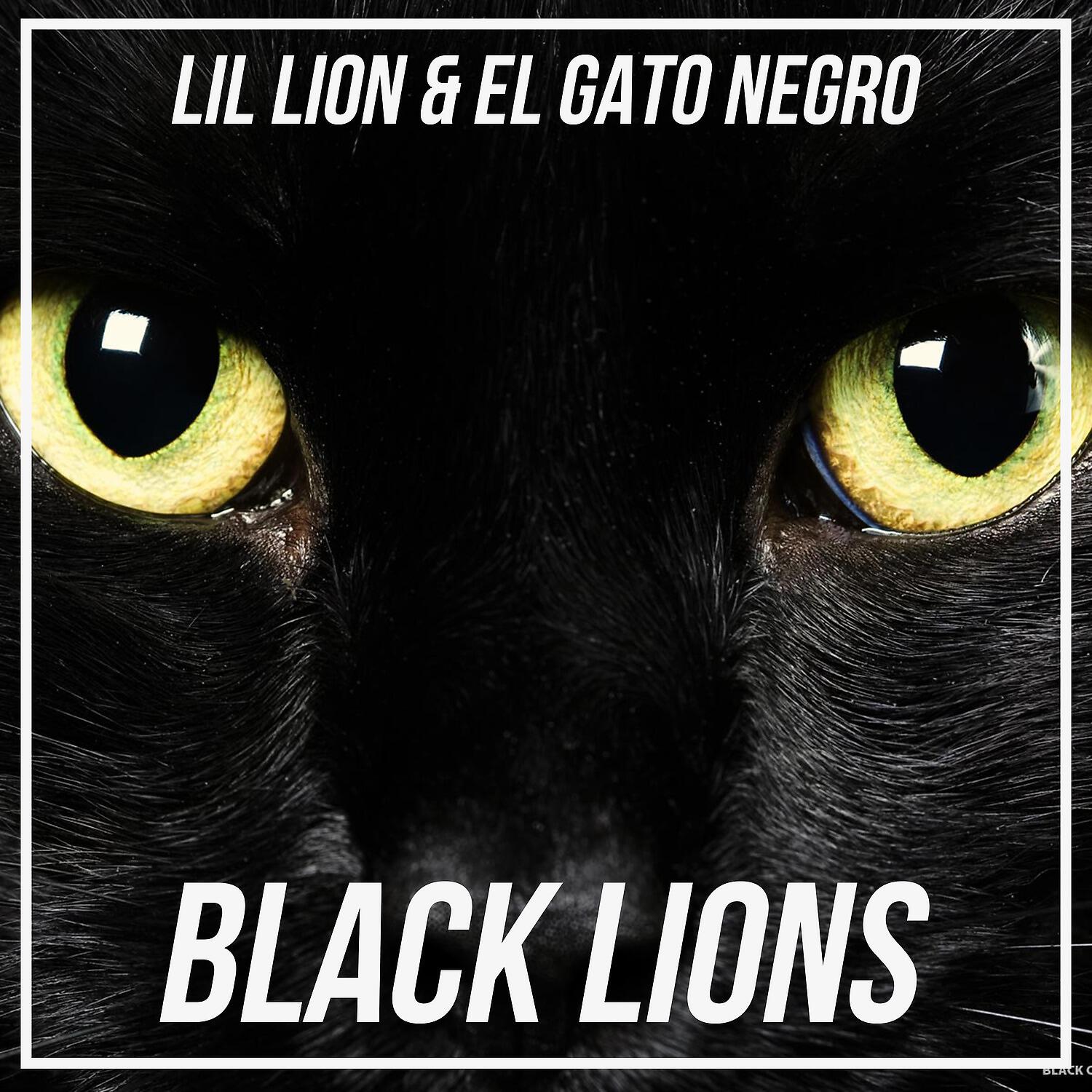 Lil Lion & El Gato Negro - Black Lions