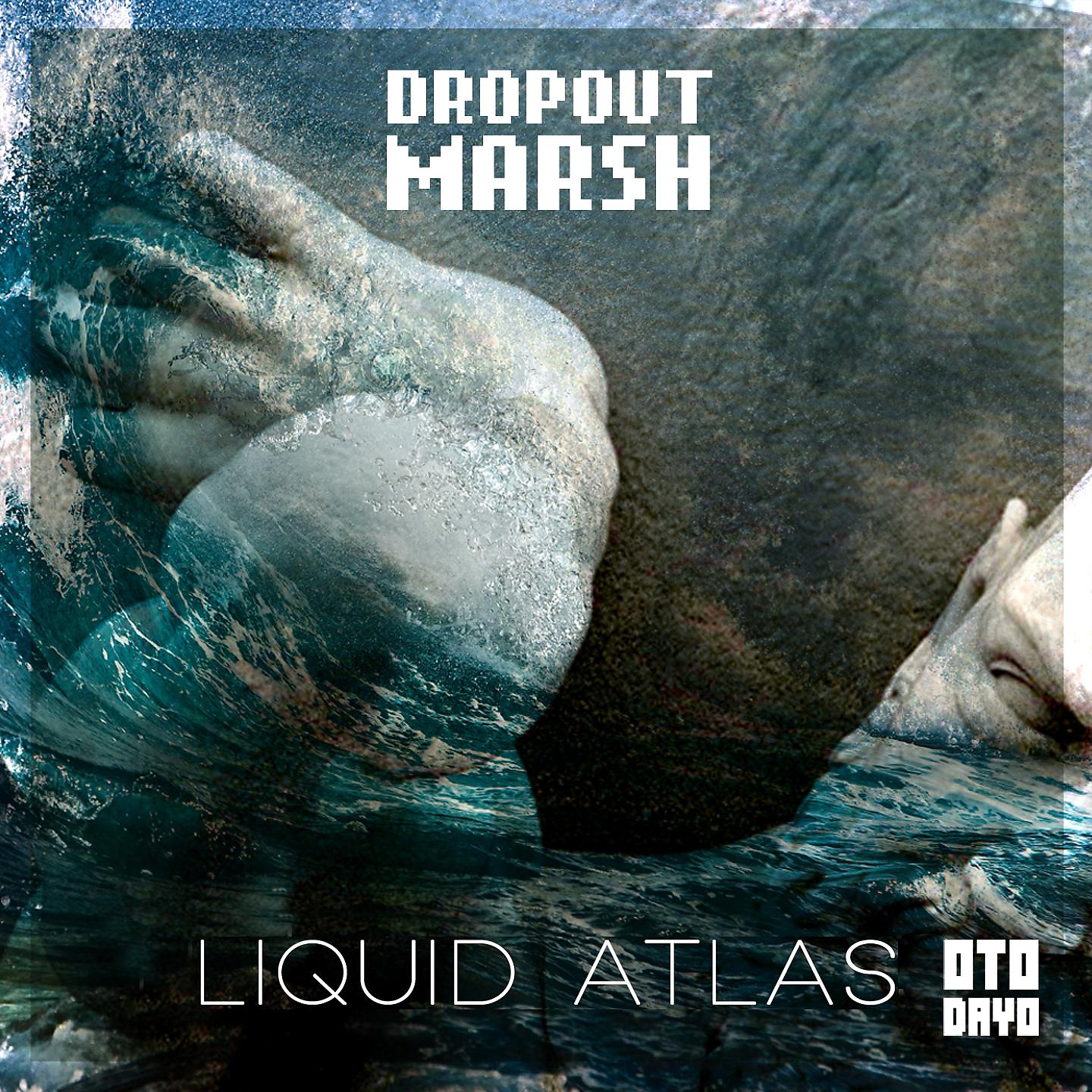 Постер альбома Liquid Atlas