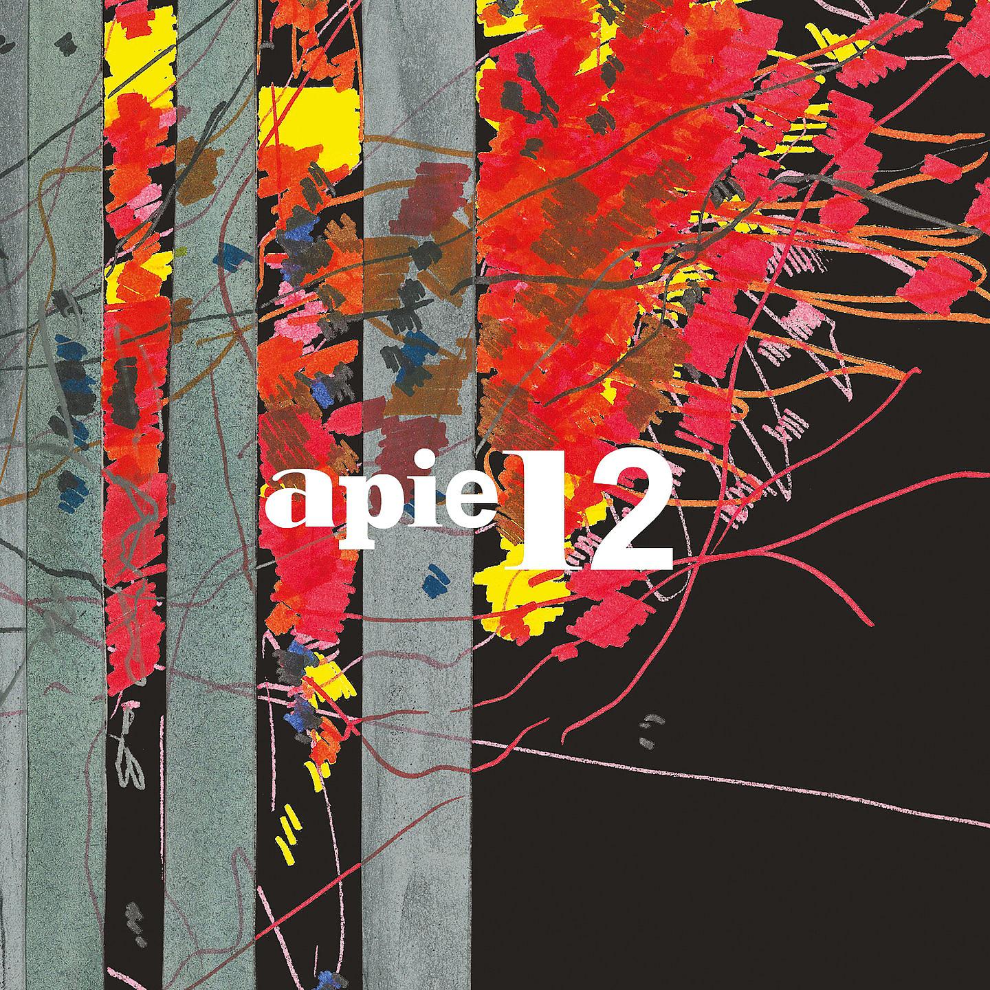 Постер альбома Apie 12