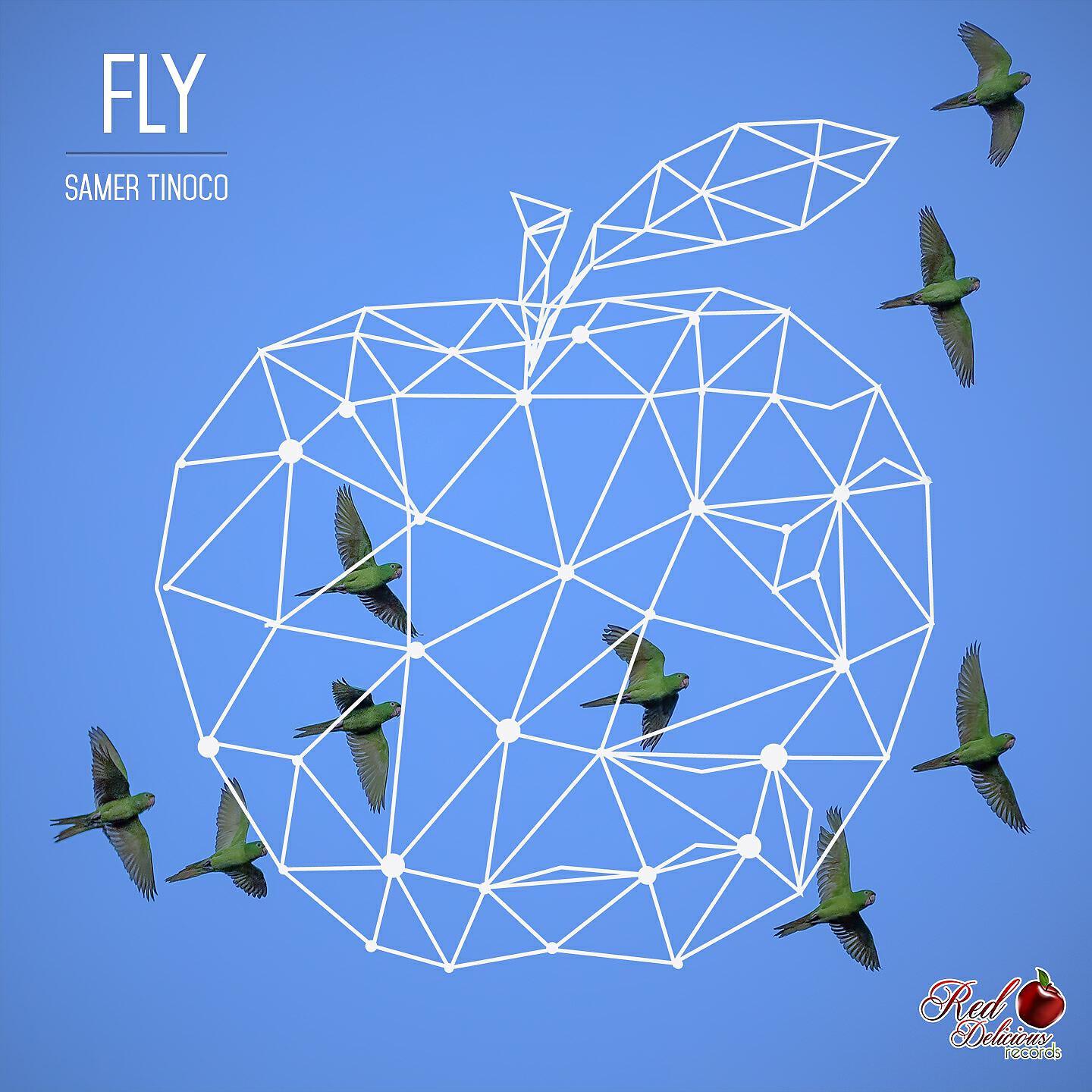 SAMER TINOCO - Fly