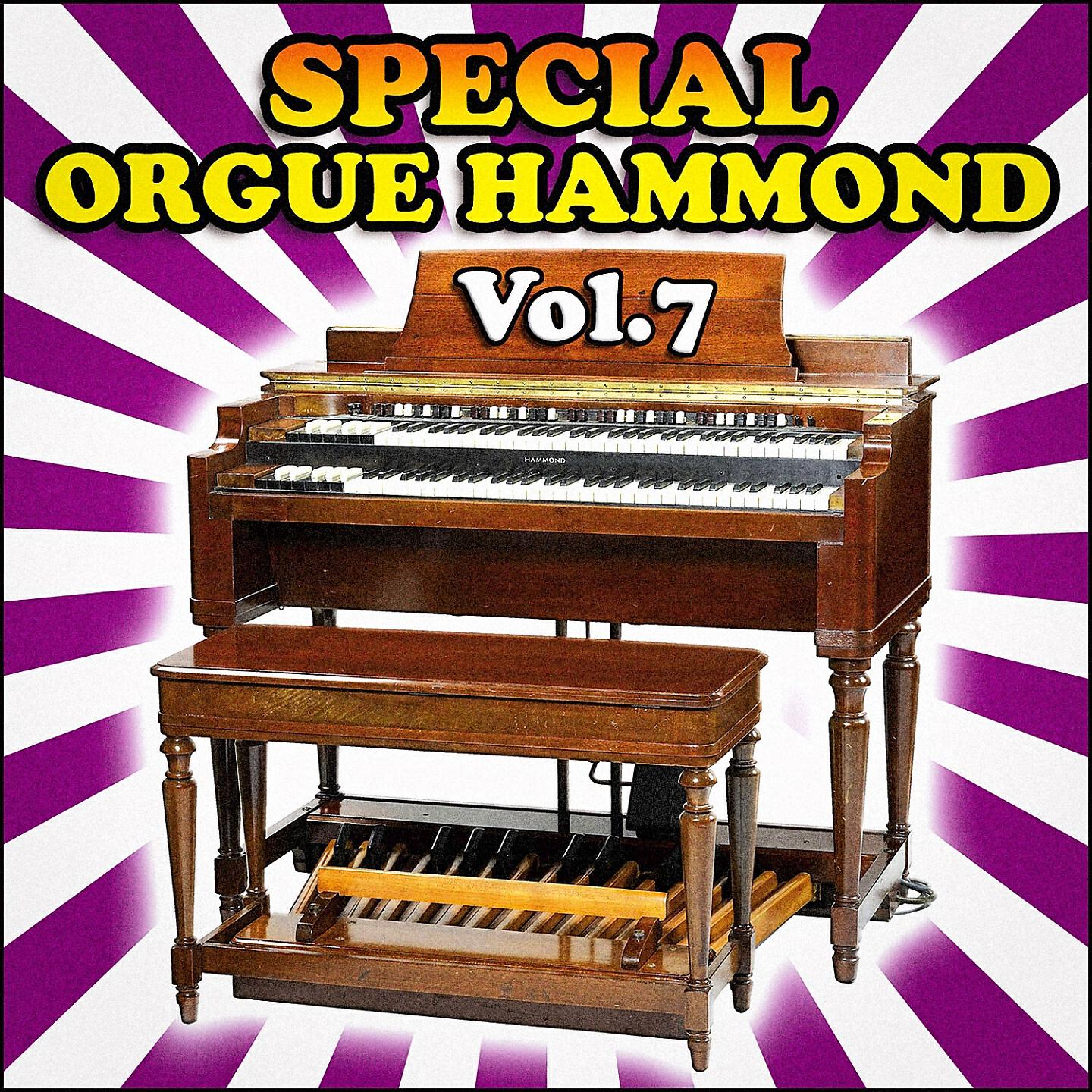Erika - Medley Ottawan : D.I.S.C.O. / T'es OK / Haut les mains