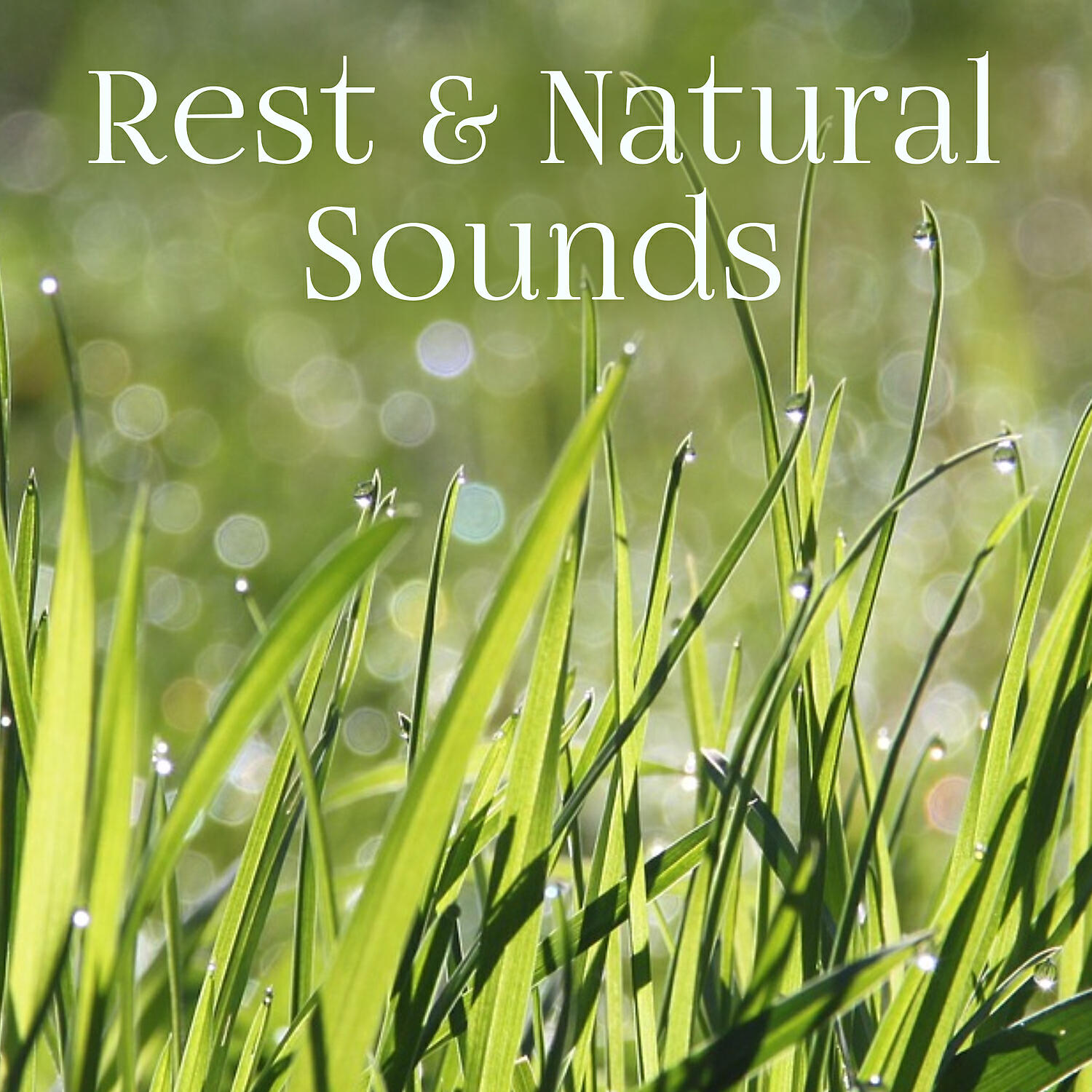 The Calming Sounds of Nature - Biofeedback
